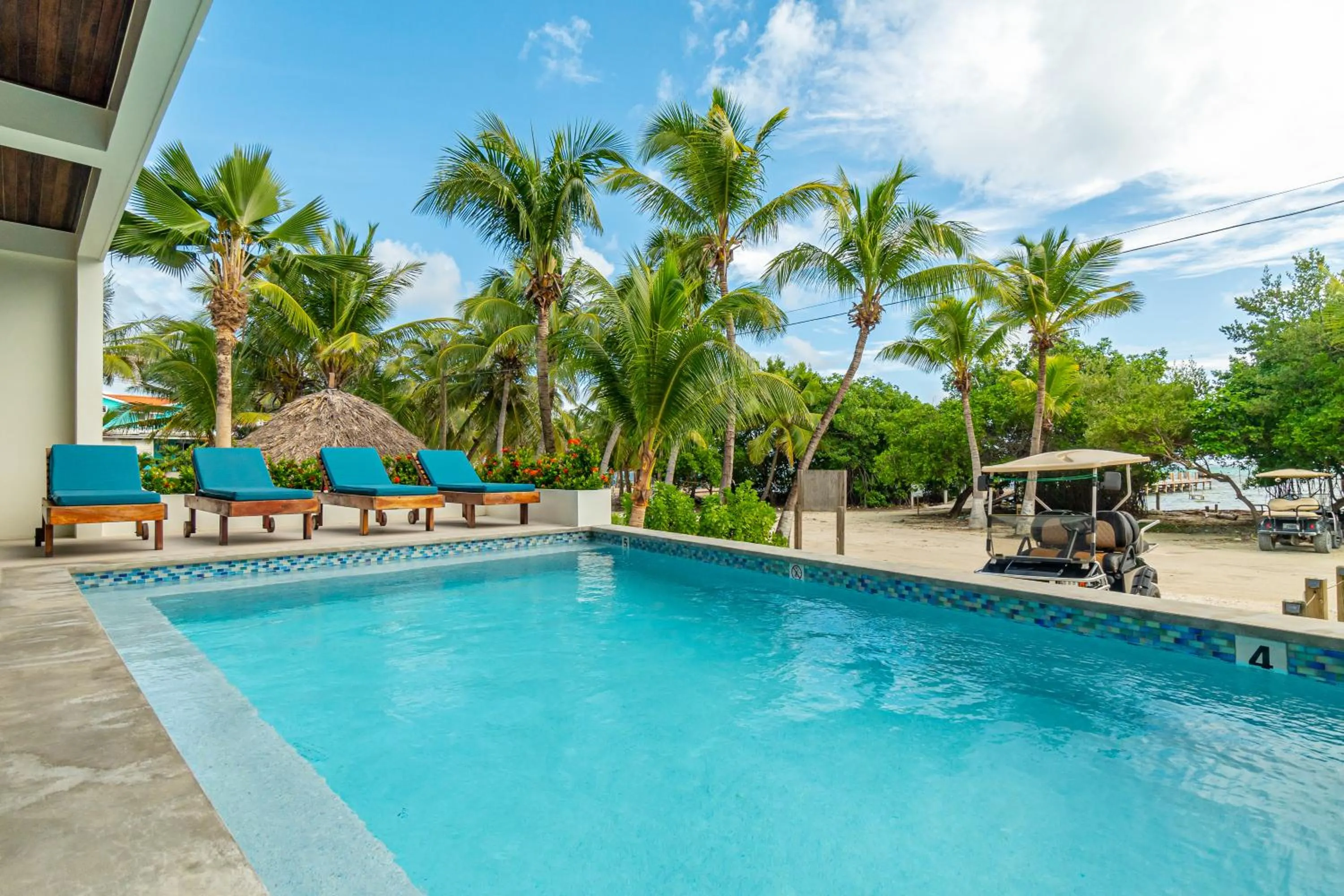 Hibisco Belize
