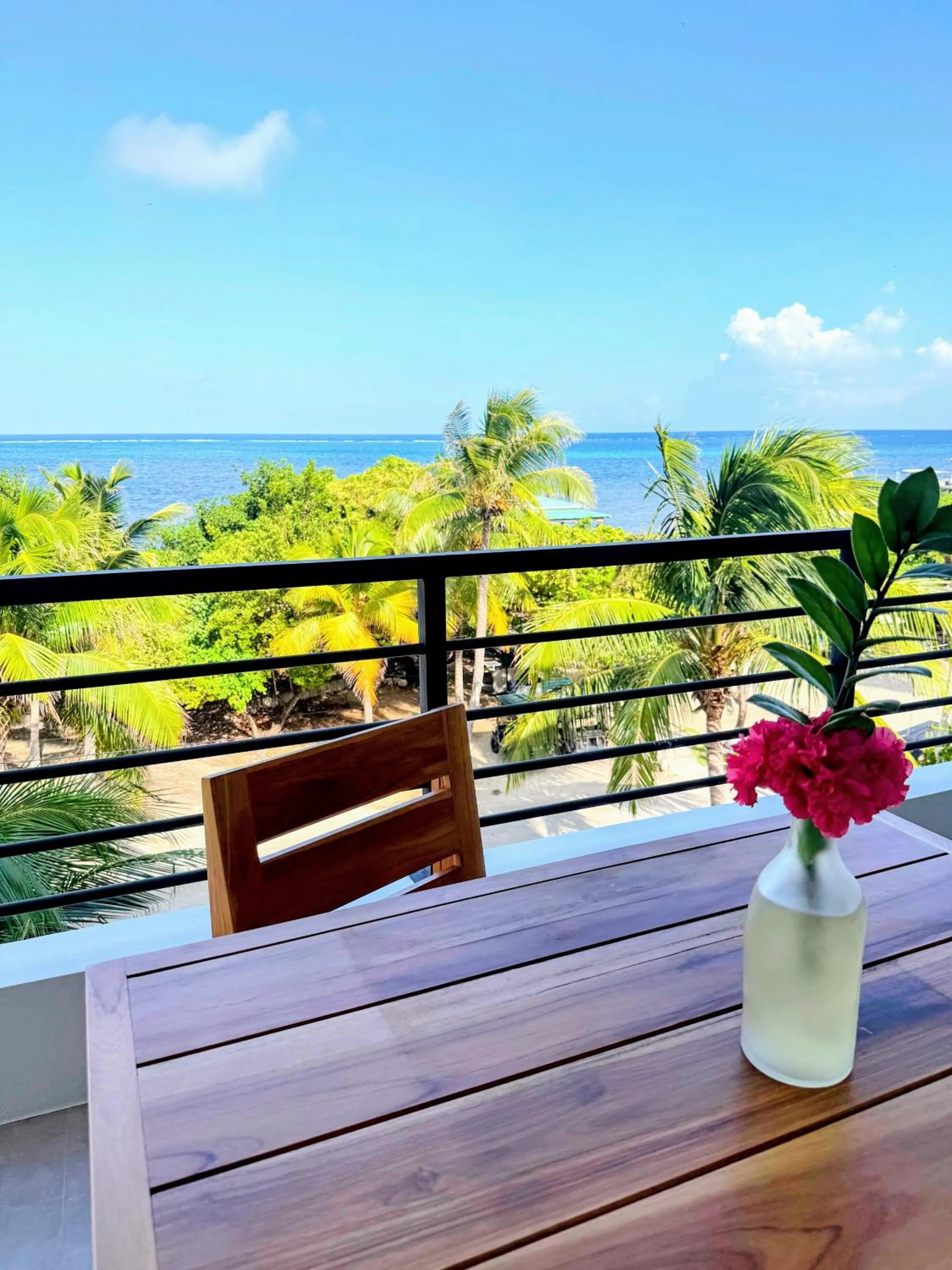 Hibisco Belize