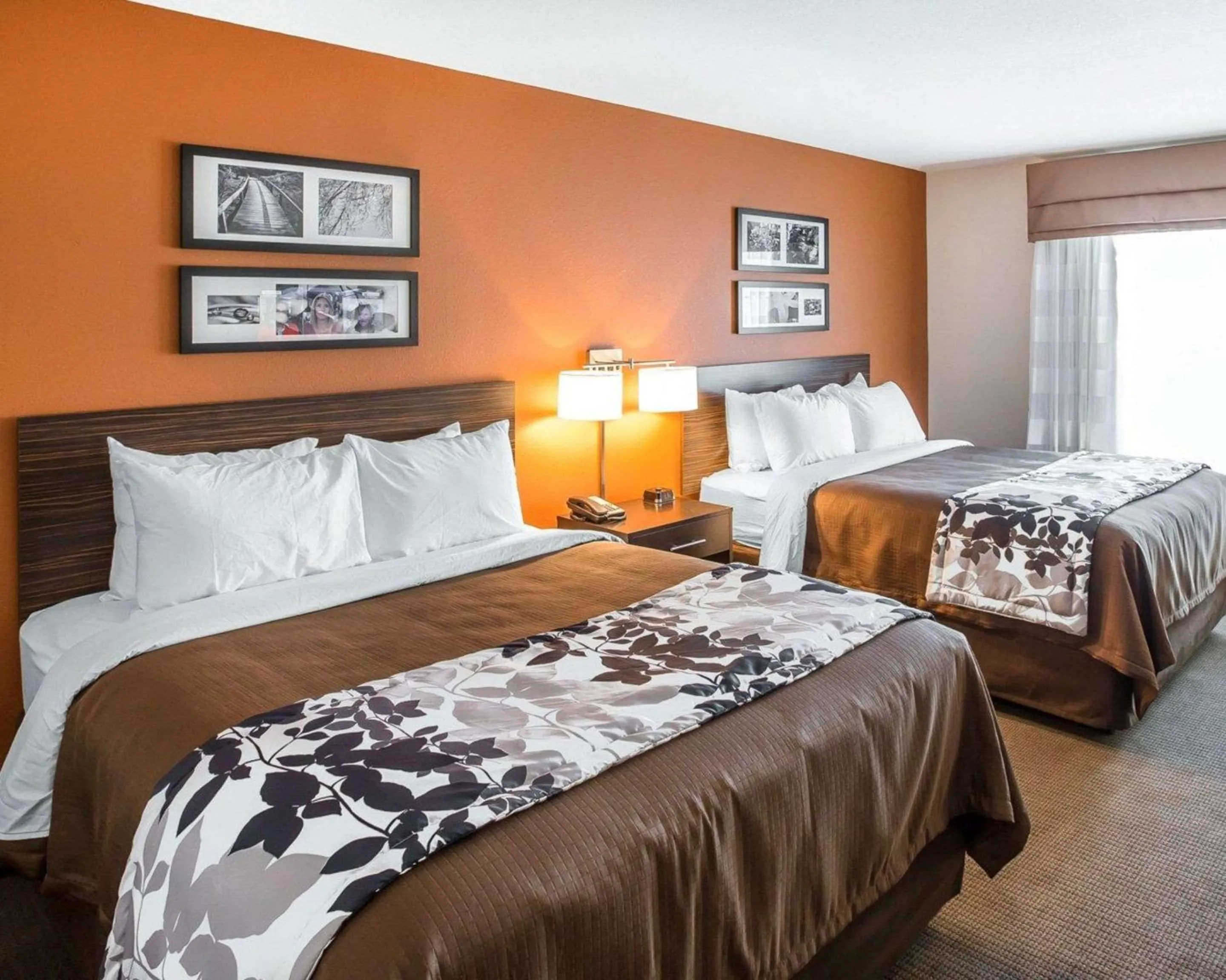 Bedroom, Bed in Sleep Inn Cartersville