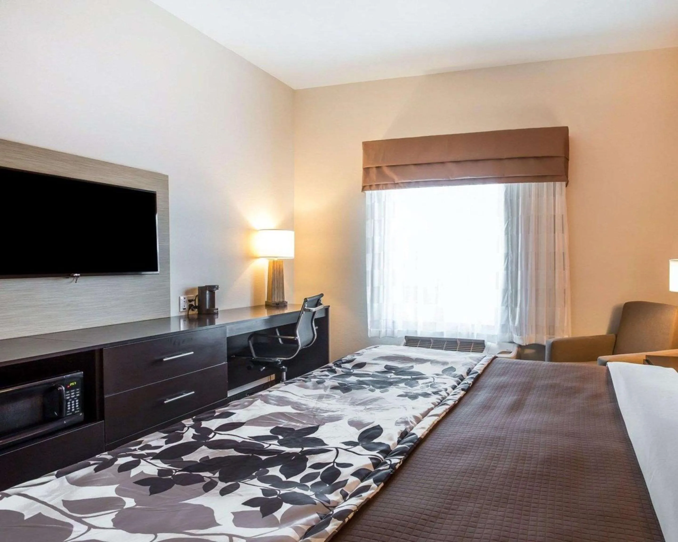 Bedroom, Bed in Sleep Inn Cartersville