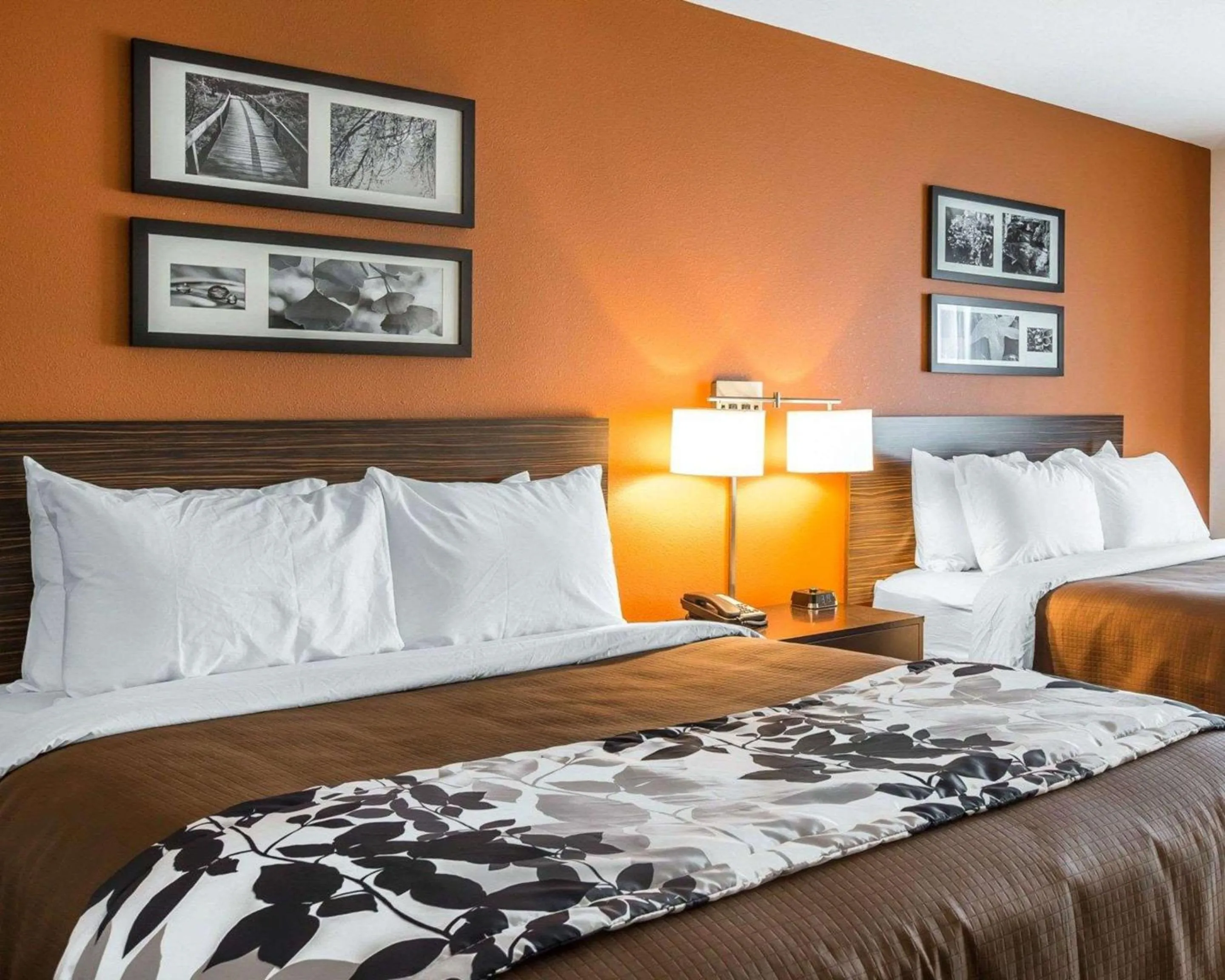 Bedroom, Bed in Sleep Inn Cartersville