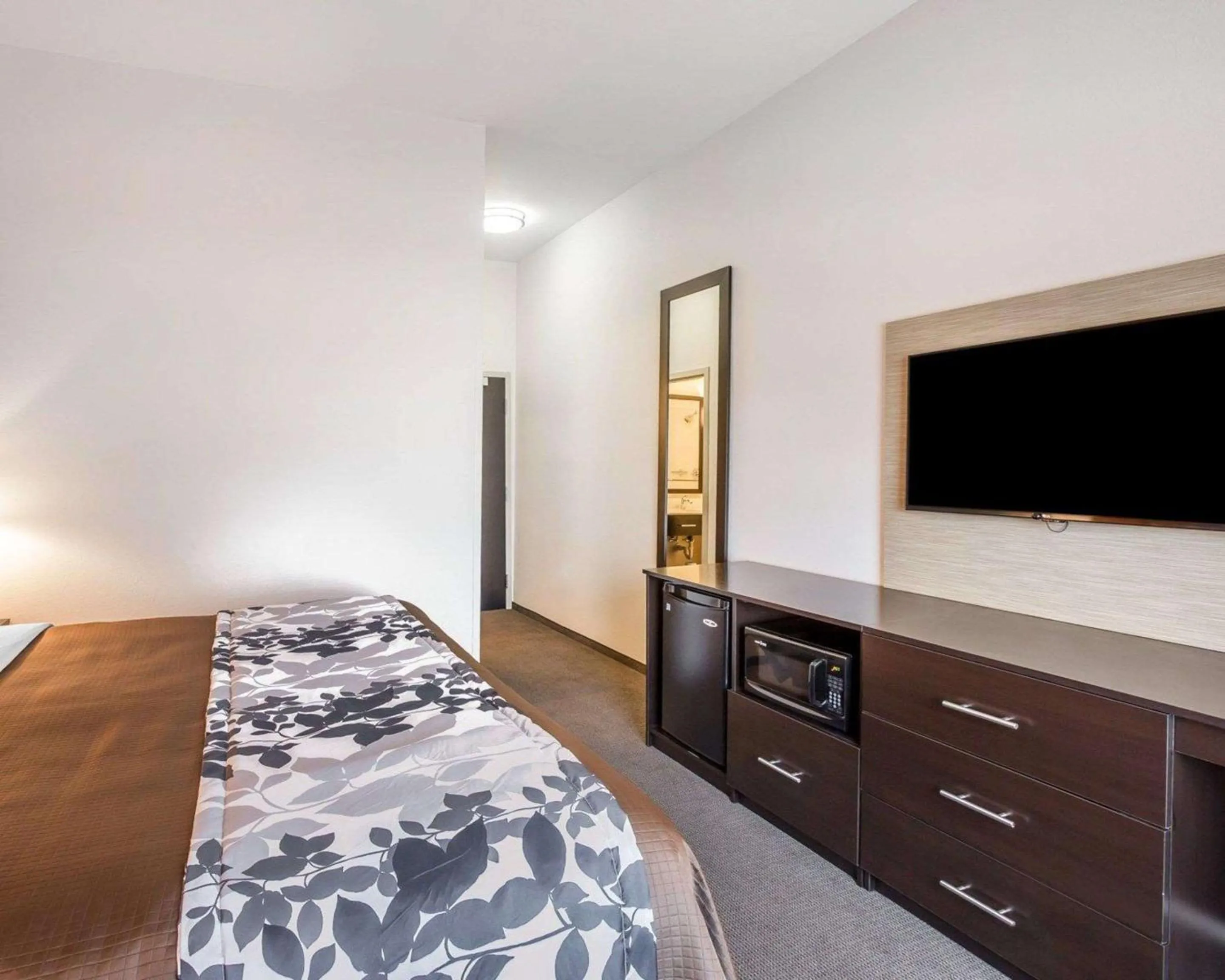 Bedroom, Bed in Sleep Inn Cartersville