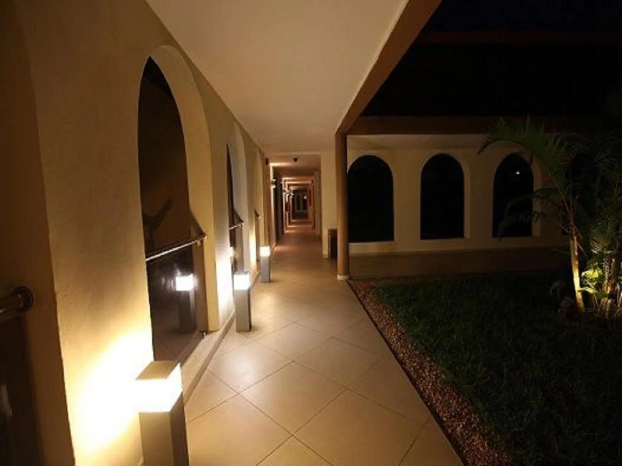 Night in Hotel Palm Beach