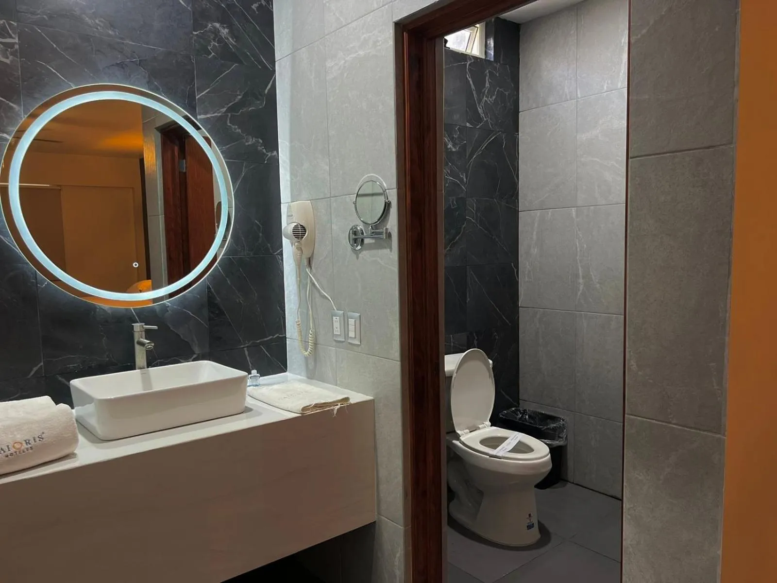 Toilet in Hotel Maioris Guadalajara