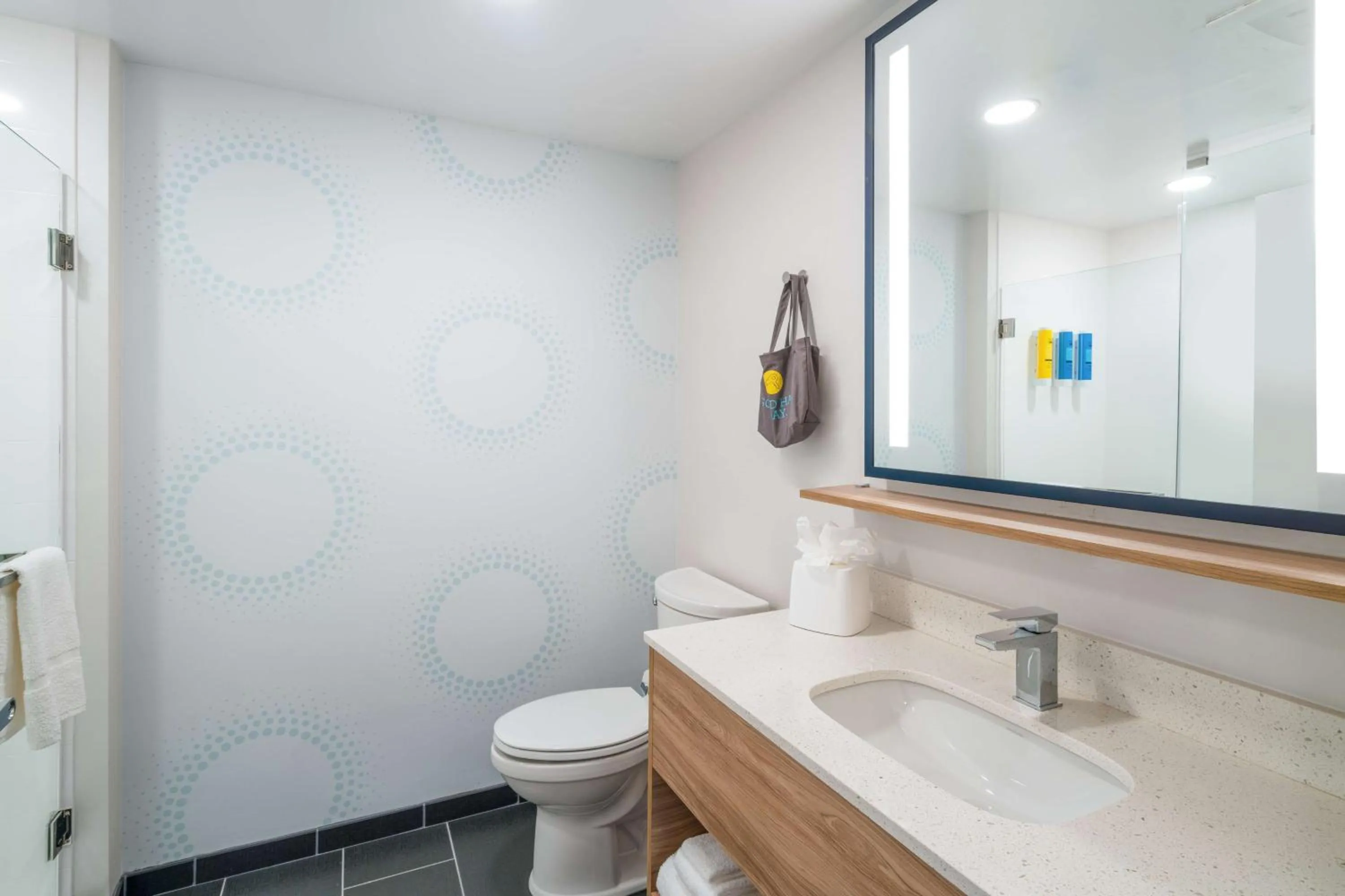 Bathroom in Tru By Hilton Savannah Airport