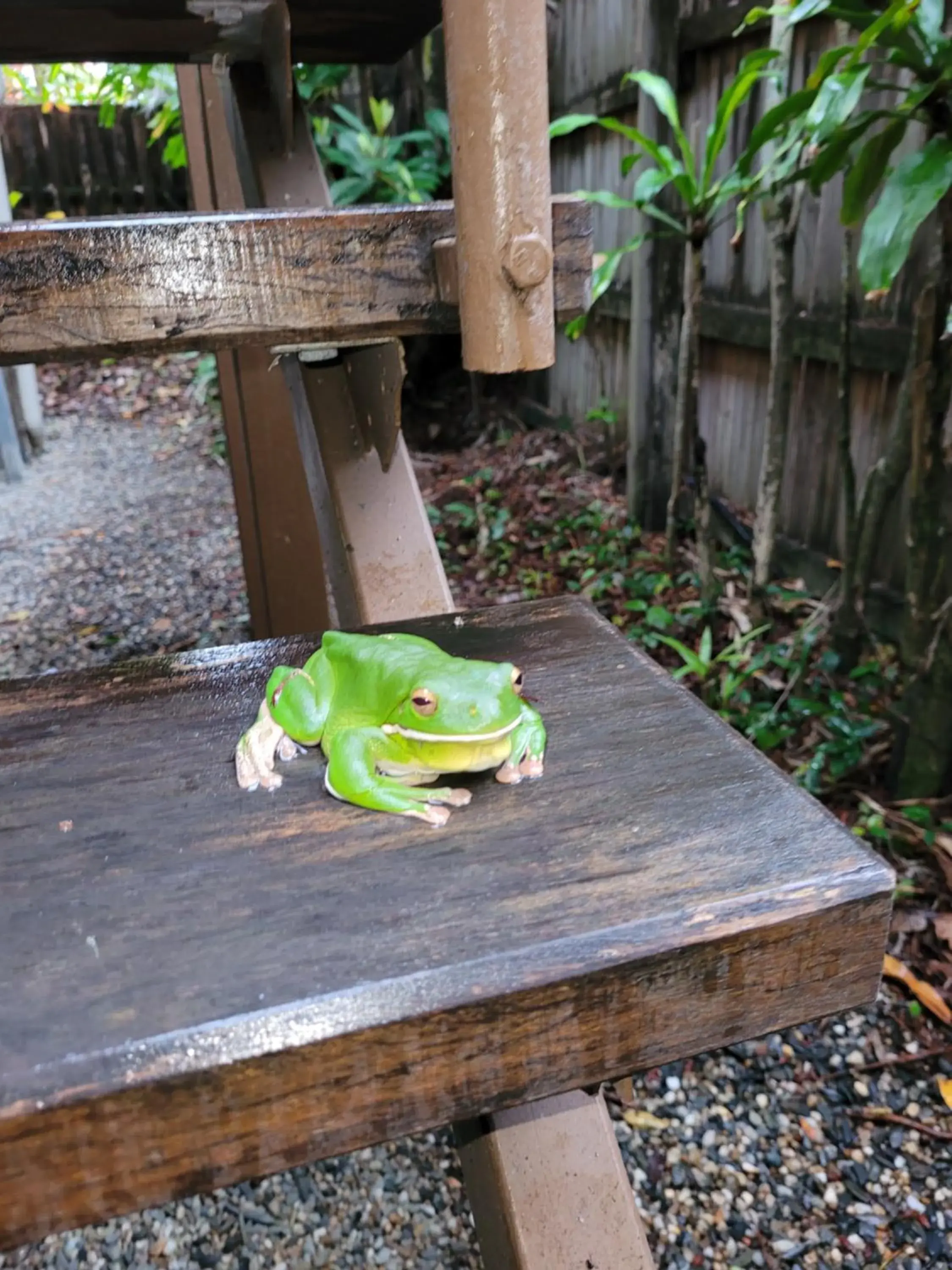 Property building in Travellers Paradise Property building in Travellers Paradise