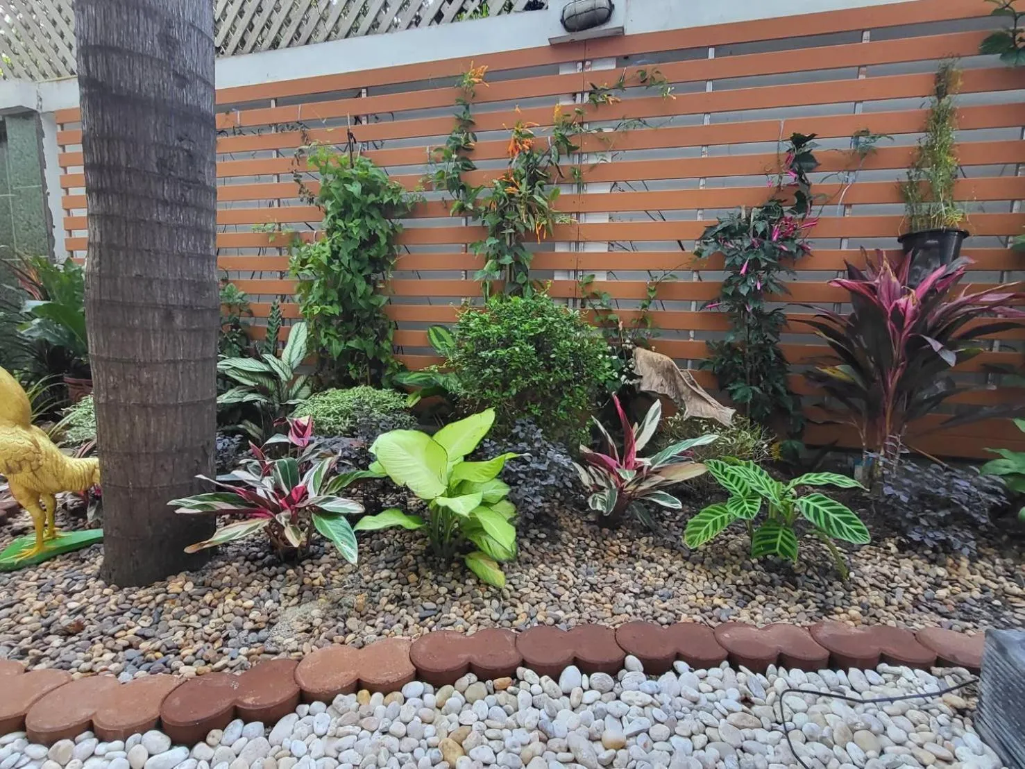 Three Seasons Bangkok