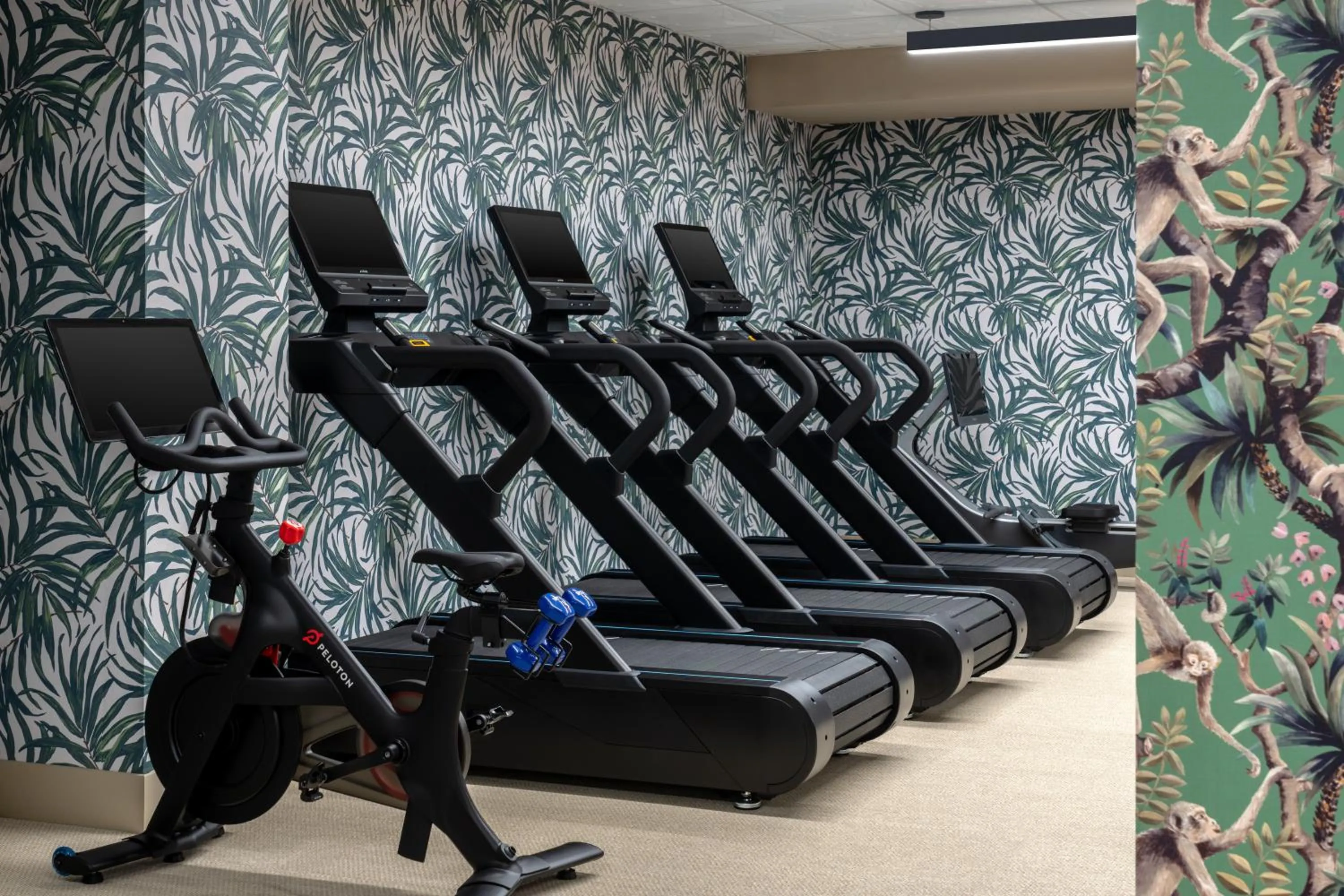 Fitness centre/facilities in La Bahia Hotel & Spa