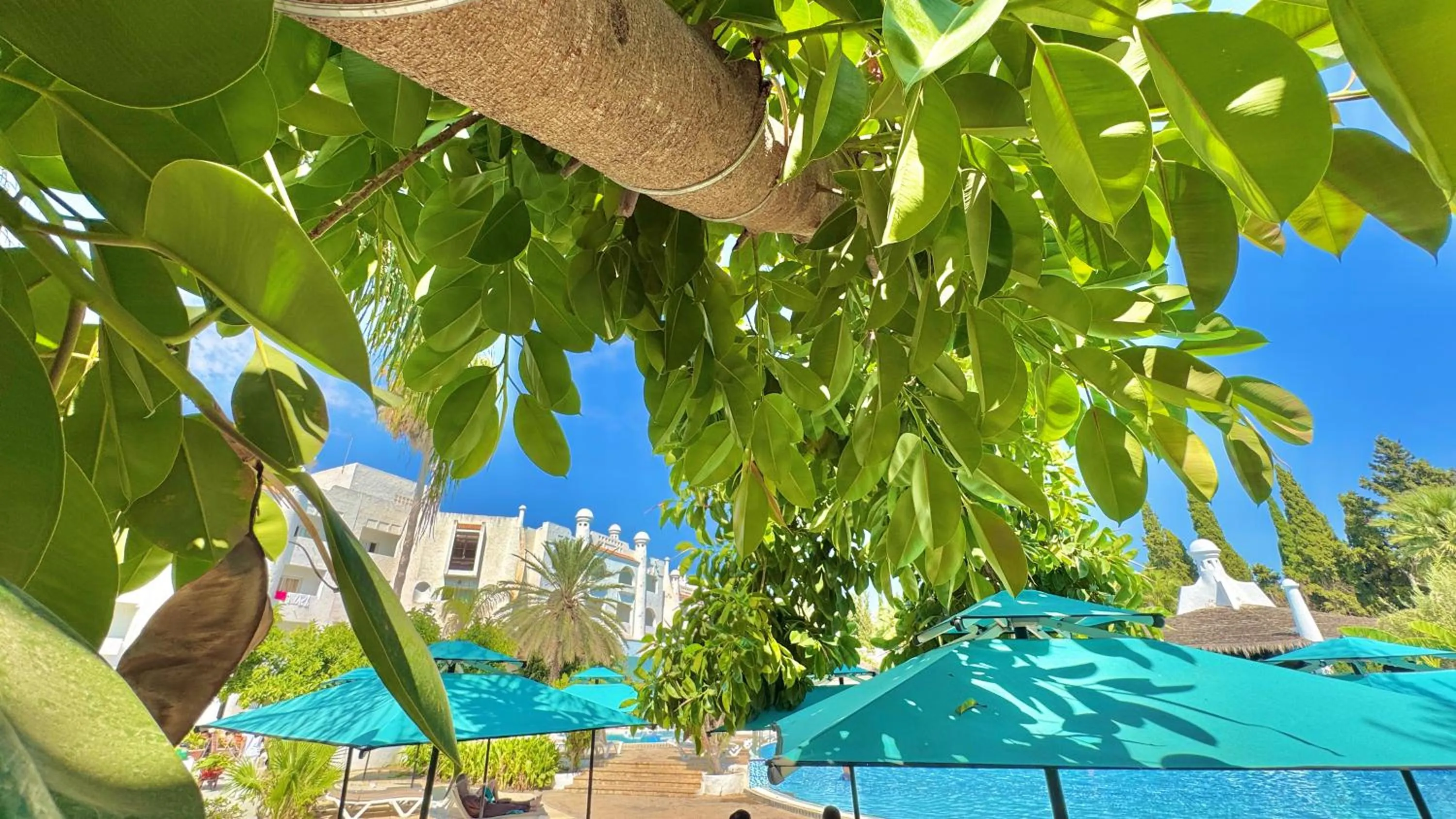 Garden in Hammamet Garden Resort and Spa