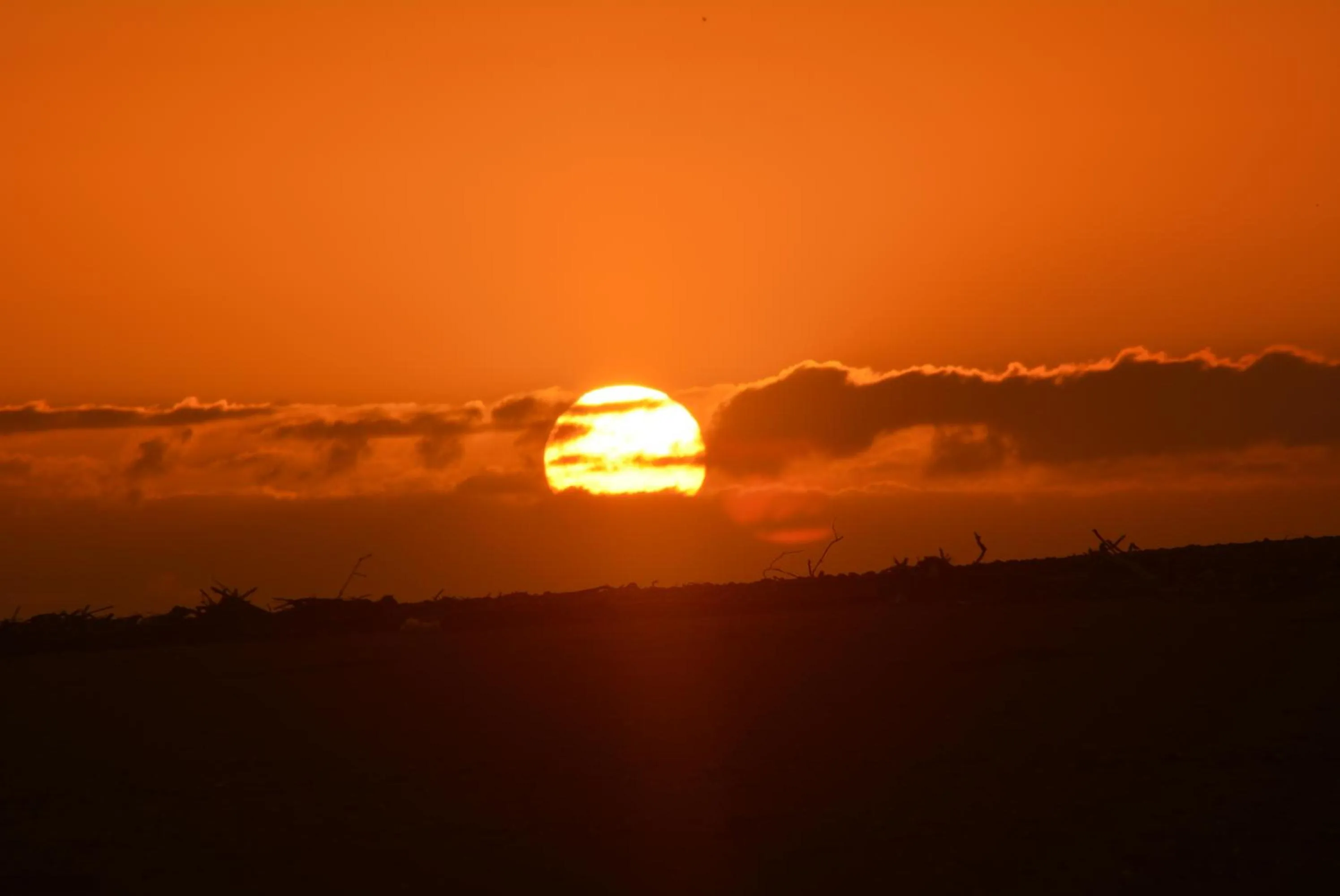 Natural landscape in Carmila Sands Motel