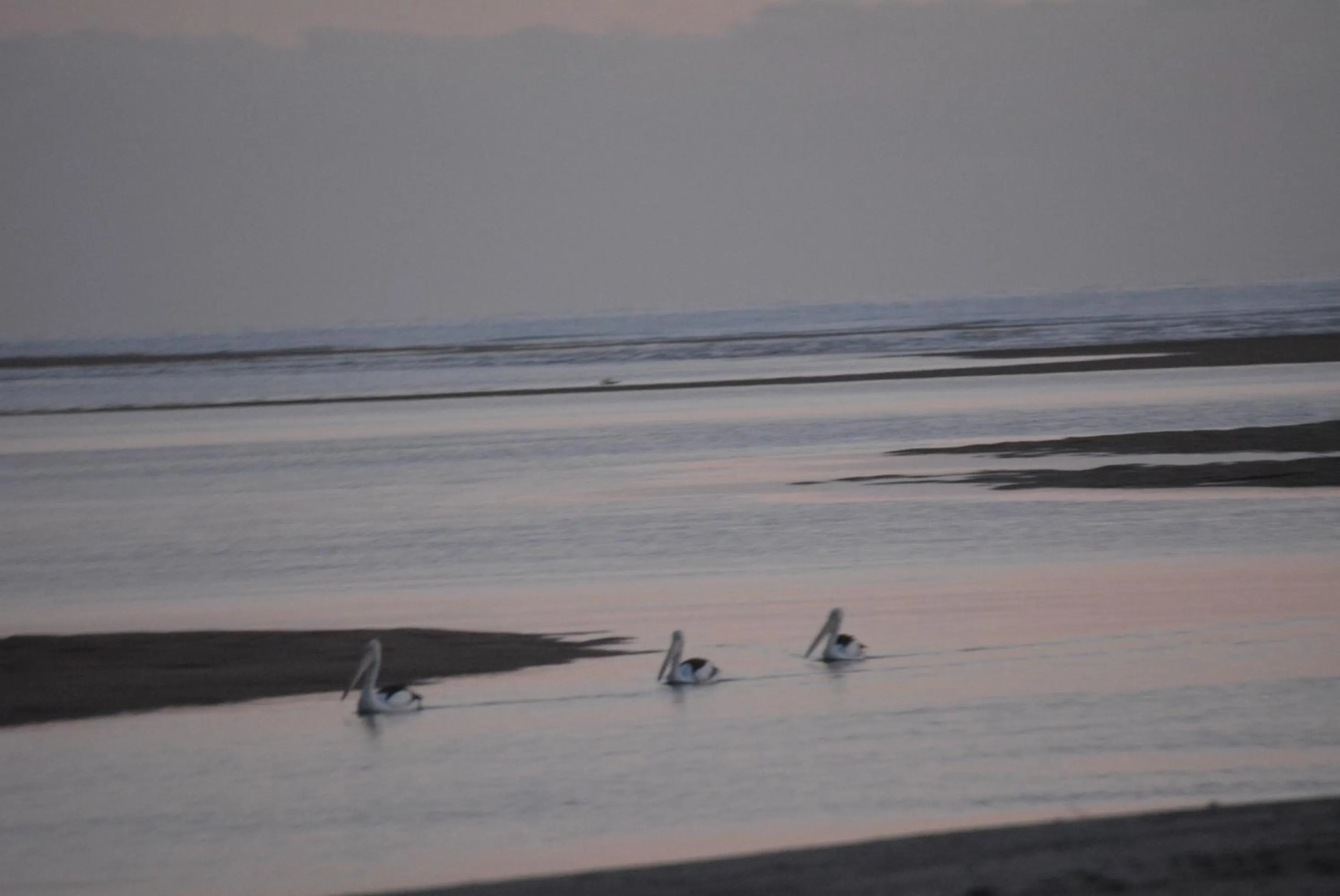 Off site in Carmila Sands Motel