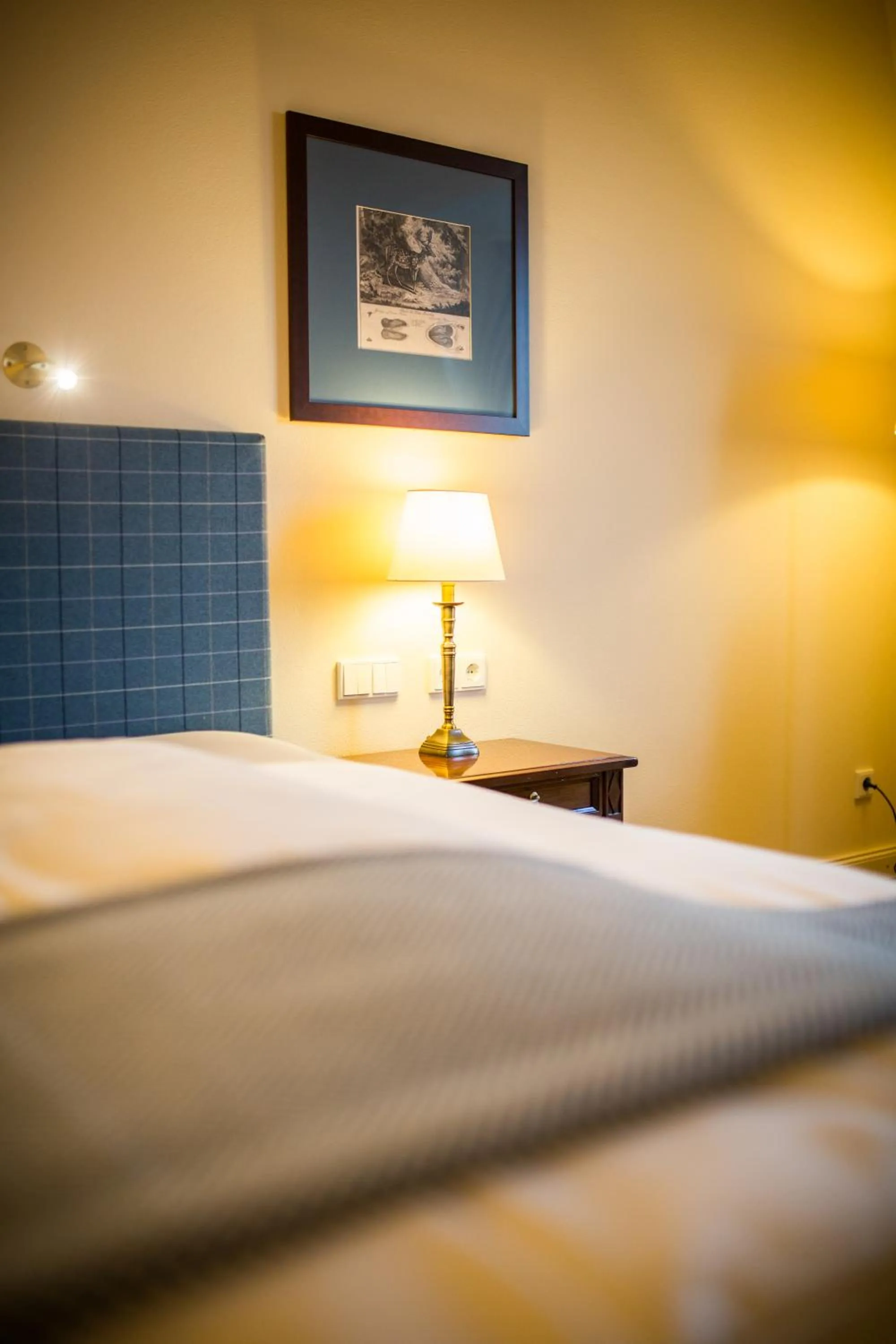 Photo of the whole room, Bed in Hotel Schloss Leitheim