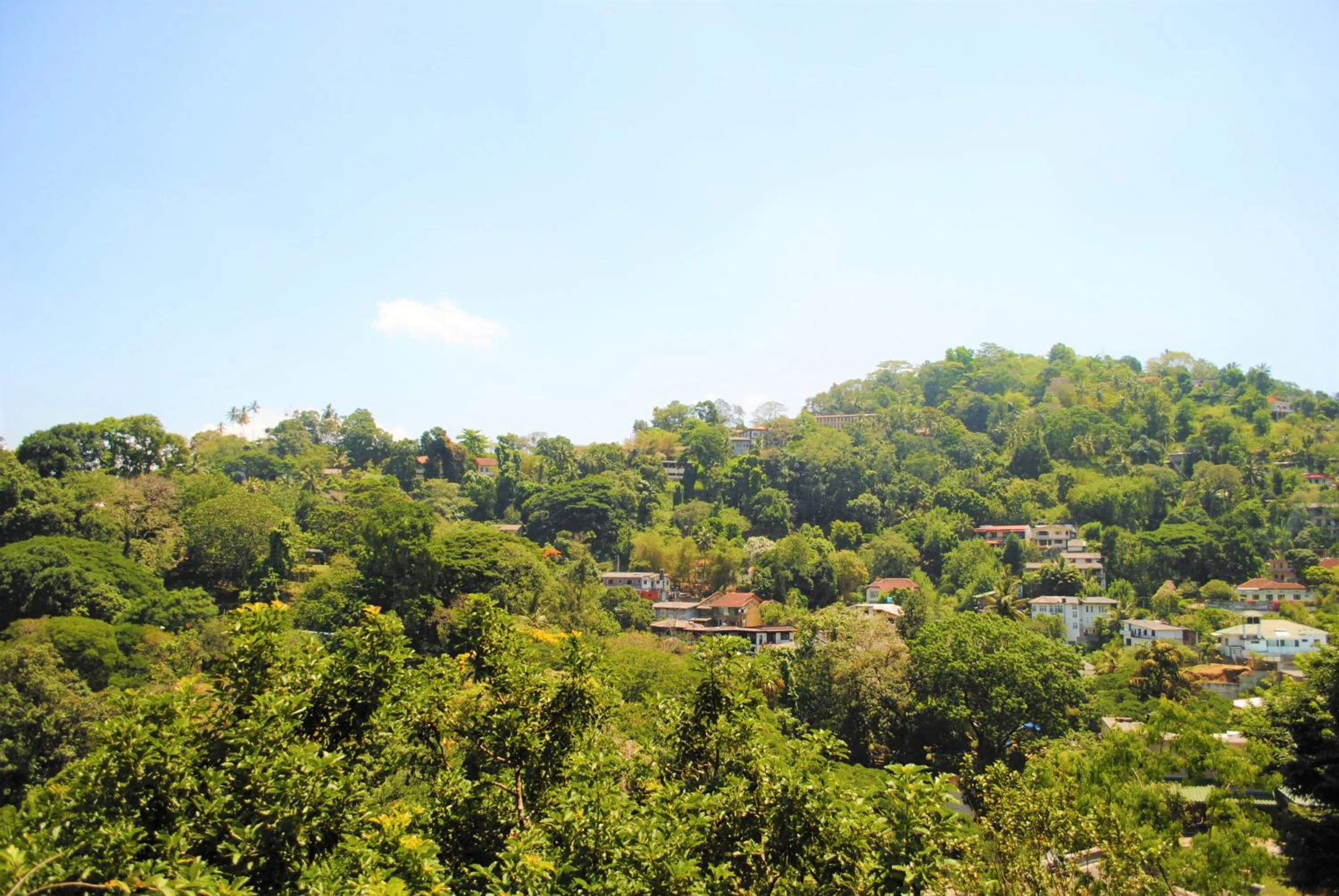 Natural landscape in Hotel Yo Kandy