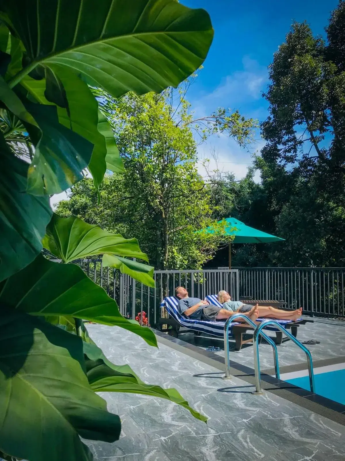 Pool view in Hotel Yo Kandy Pool view in Hotel Yo Kandy
