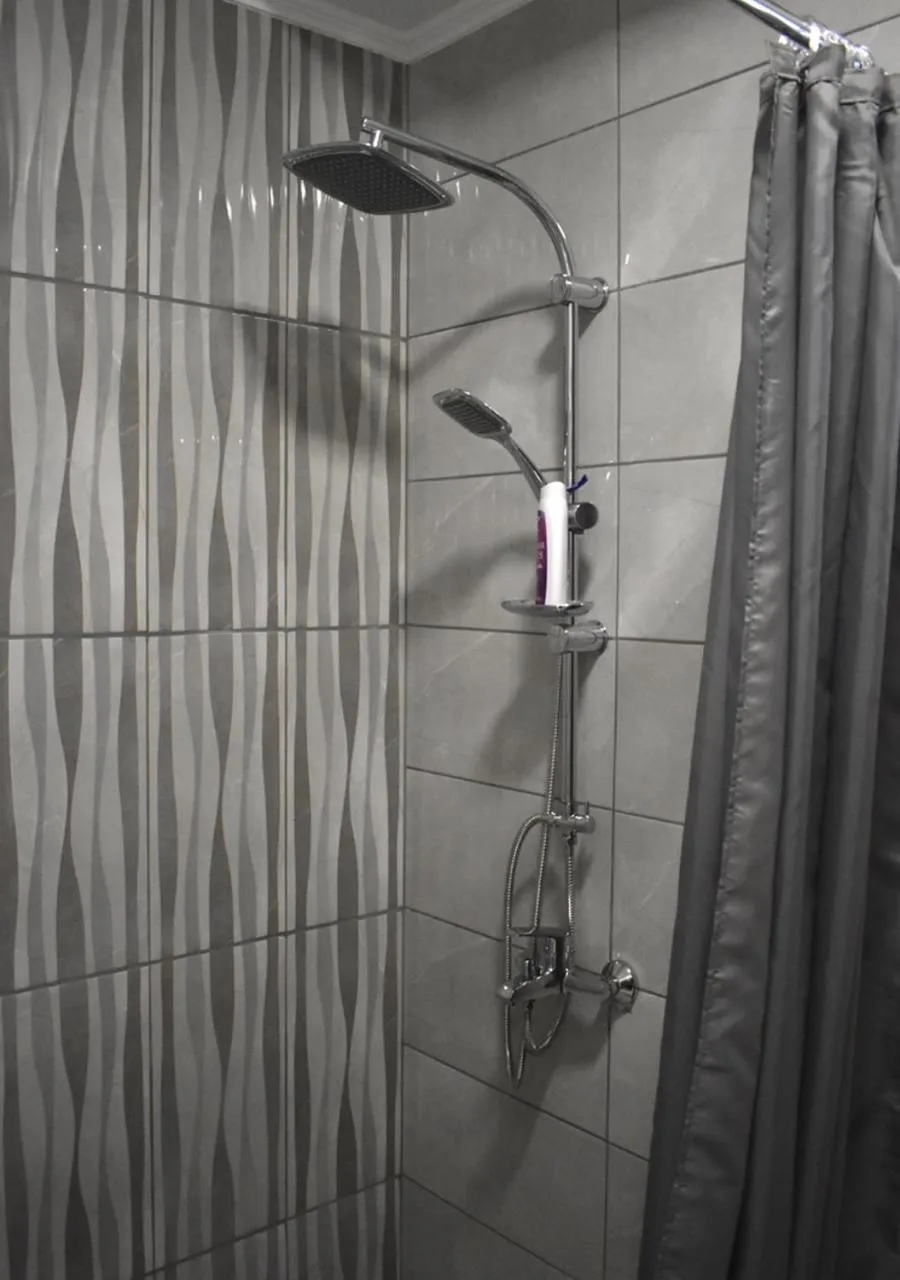 Shower in Apartmani Zrenjanin