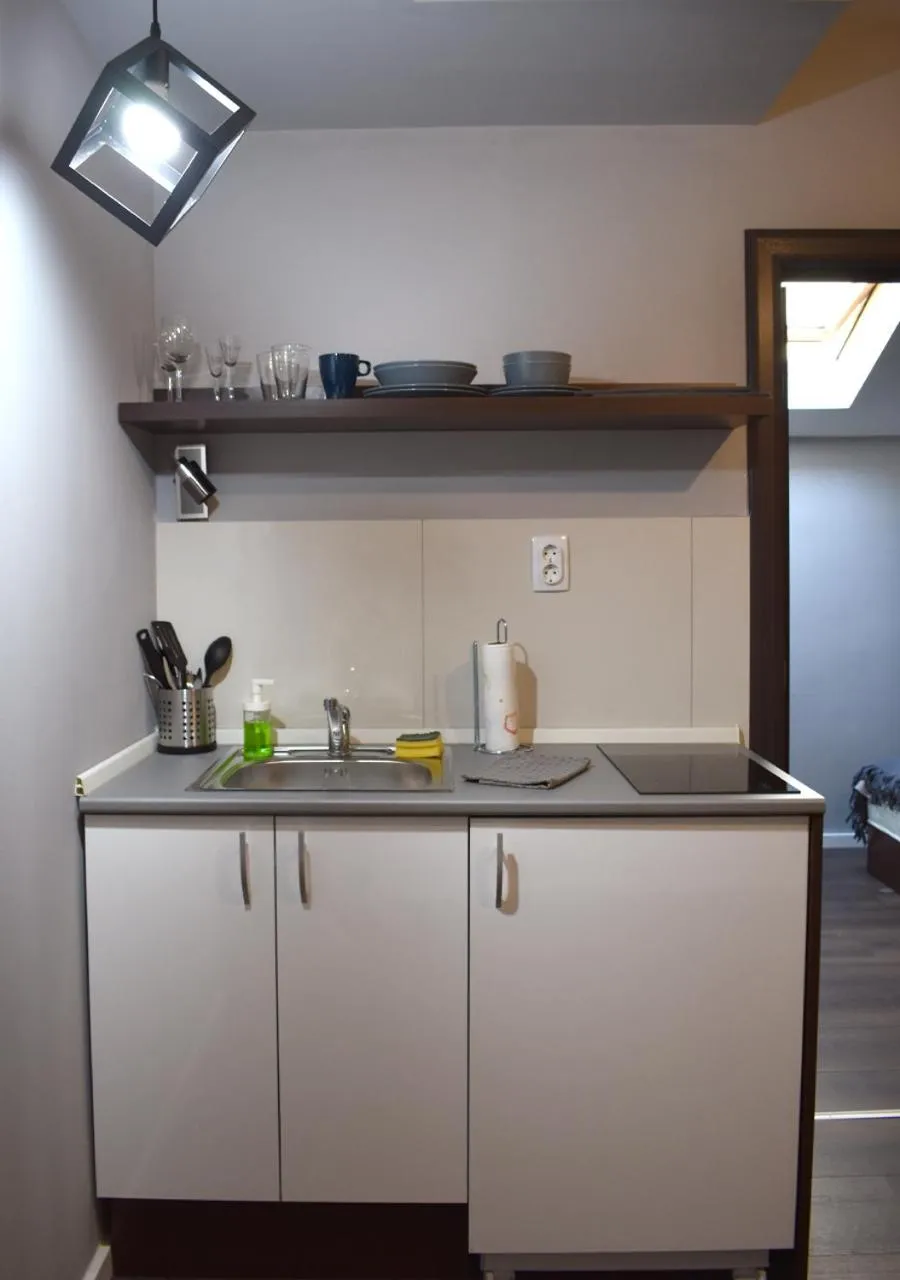 Kitchen or kitchenette in Apartmani Zrenjanin