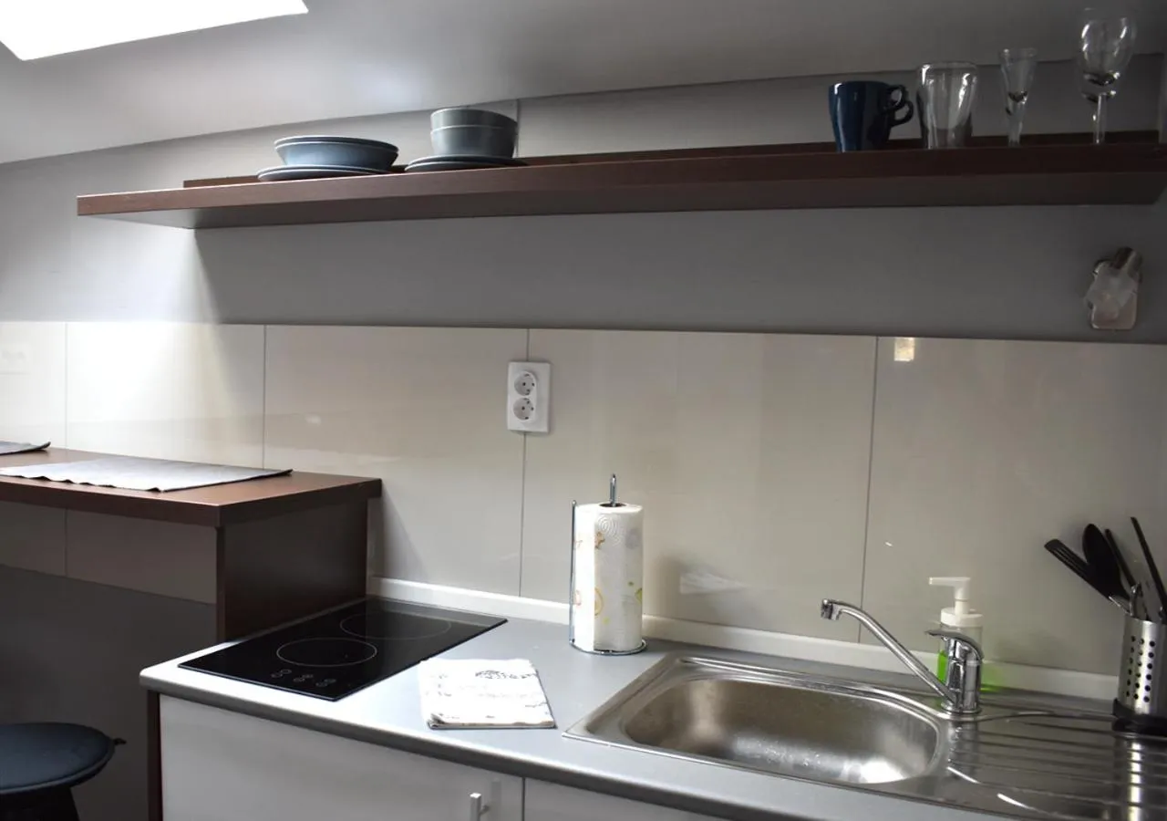 Kitchen or kitchenette in Apartmani Zrenjanin