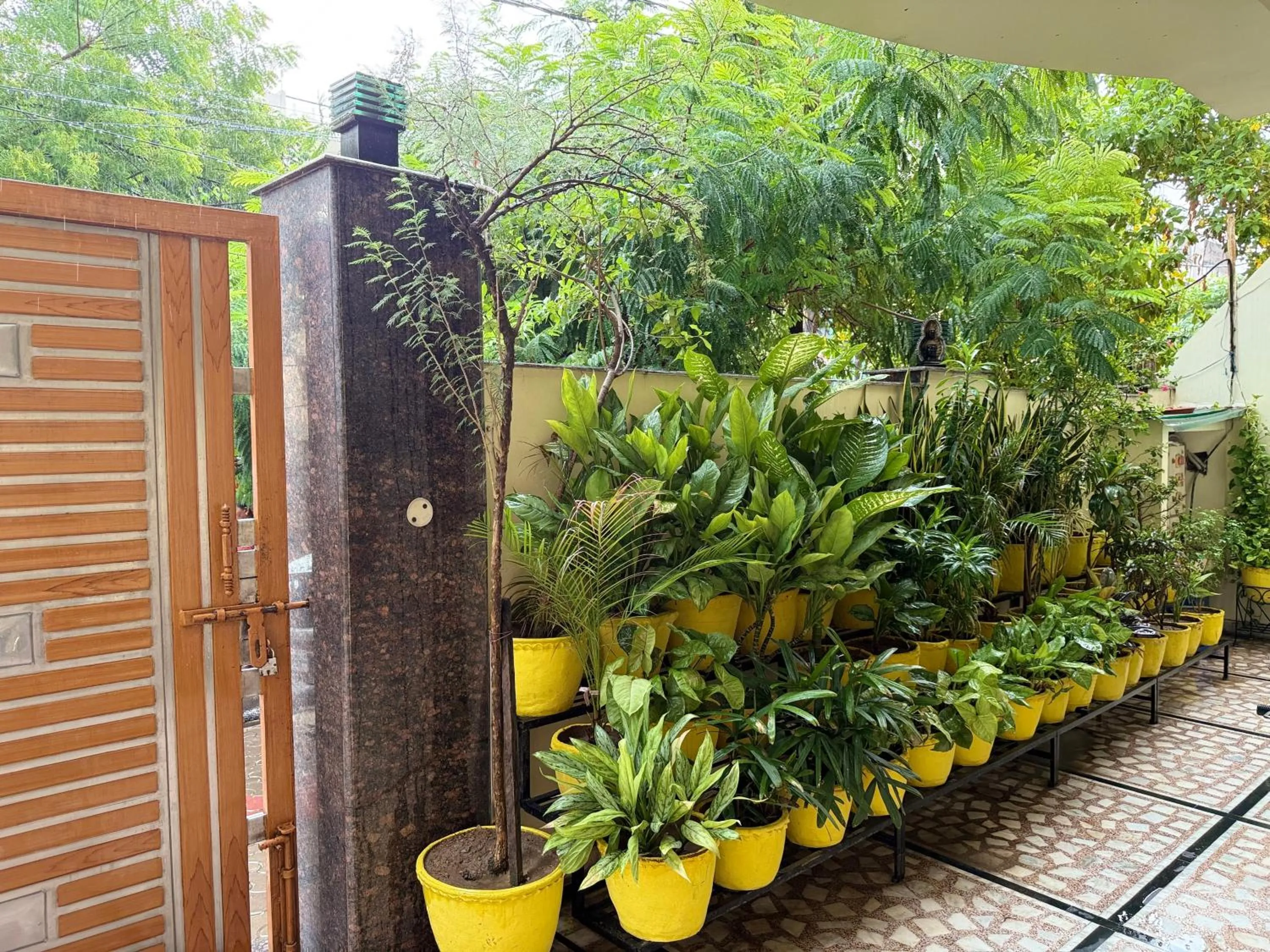 Spring in Madhuraj Villa Homestay