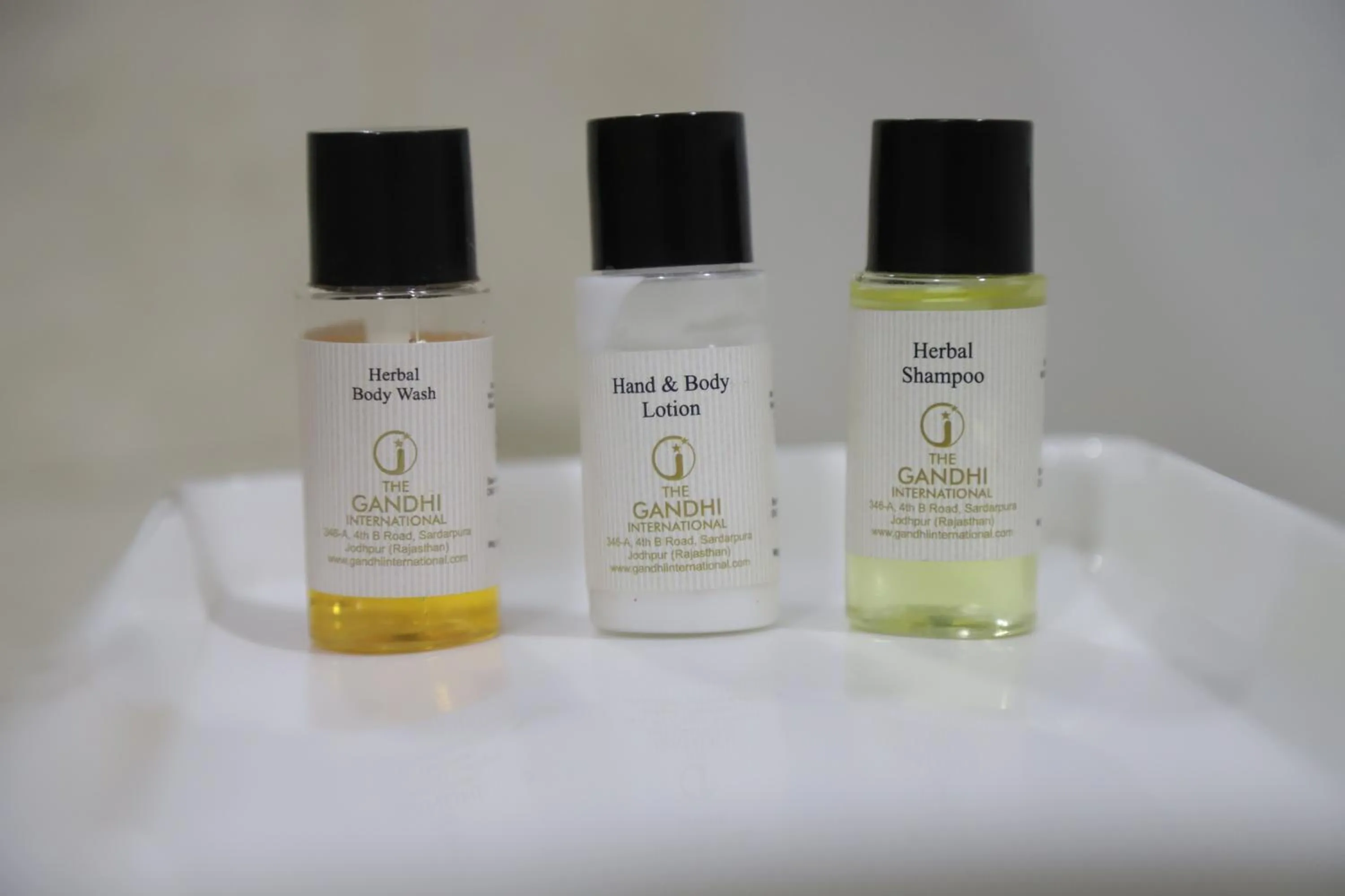 Other in The Gandhi International