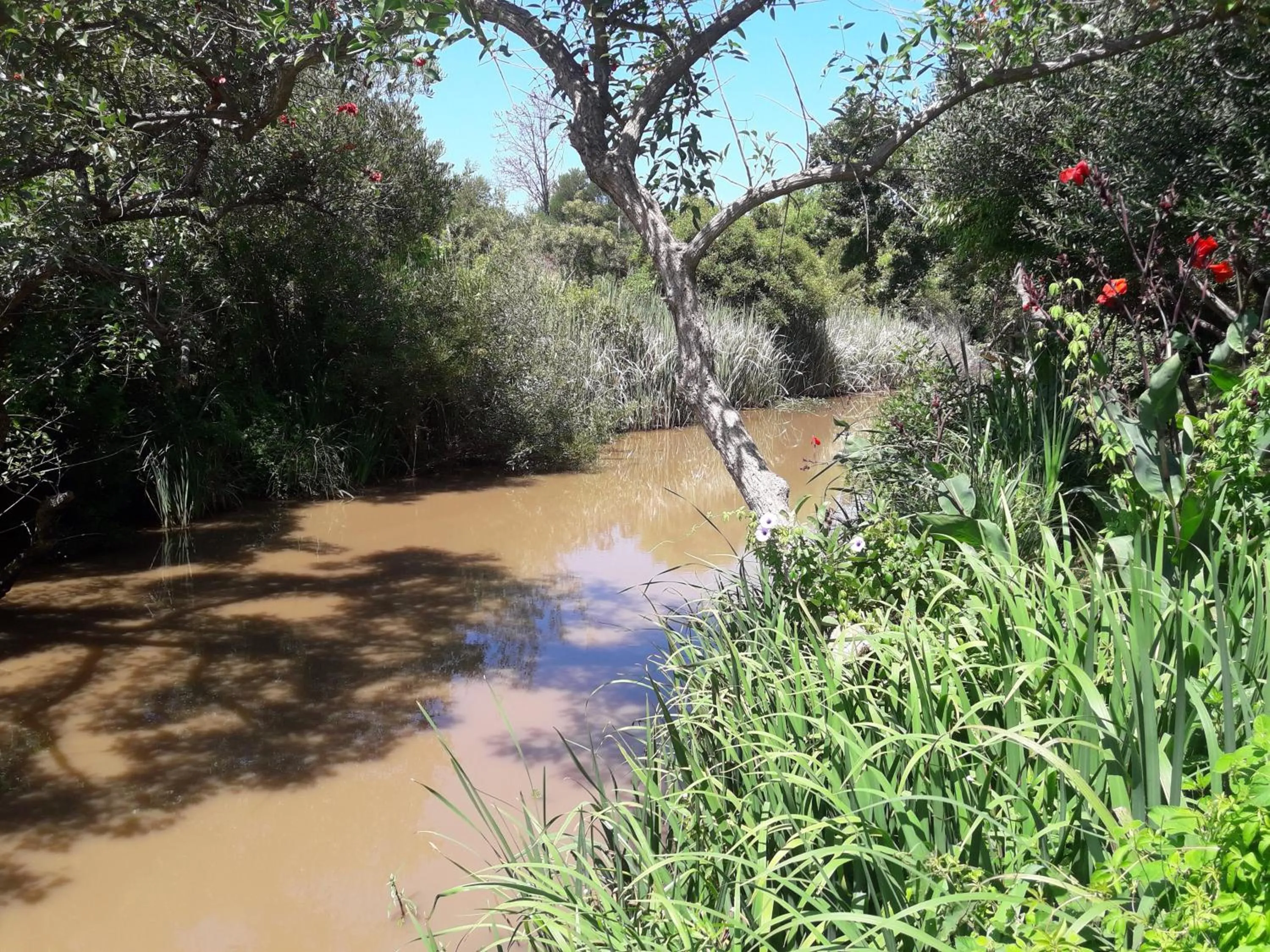 Bungalows Punta Colorada