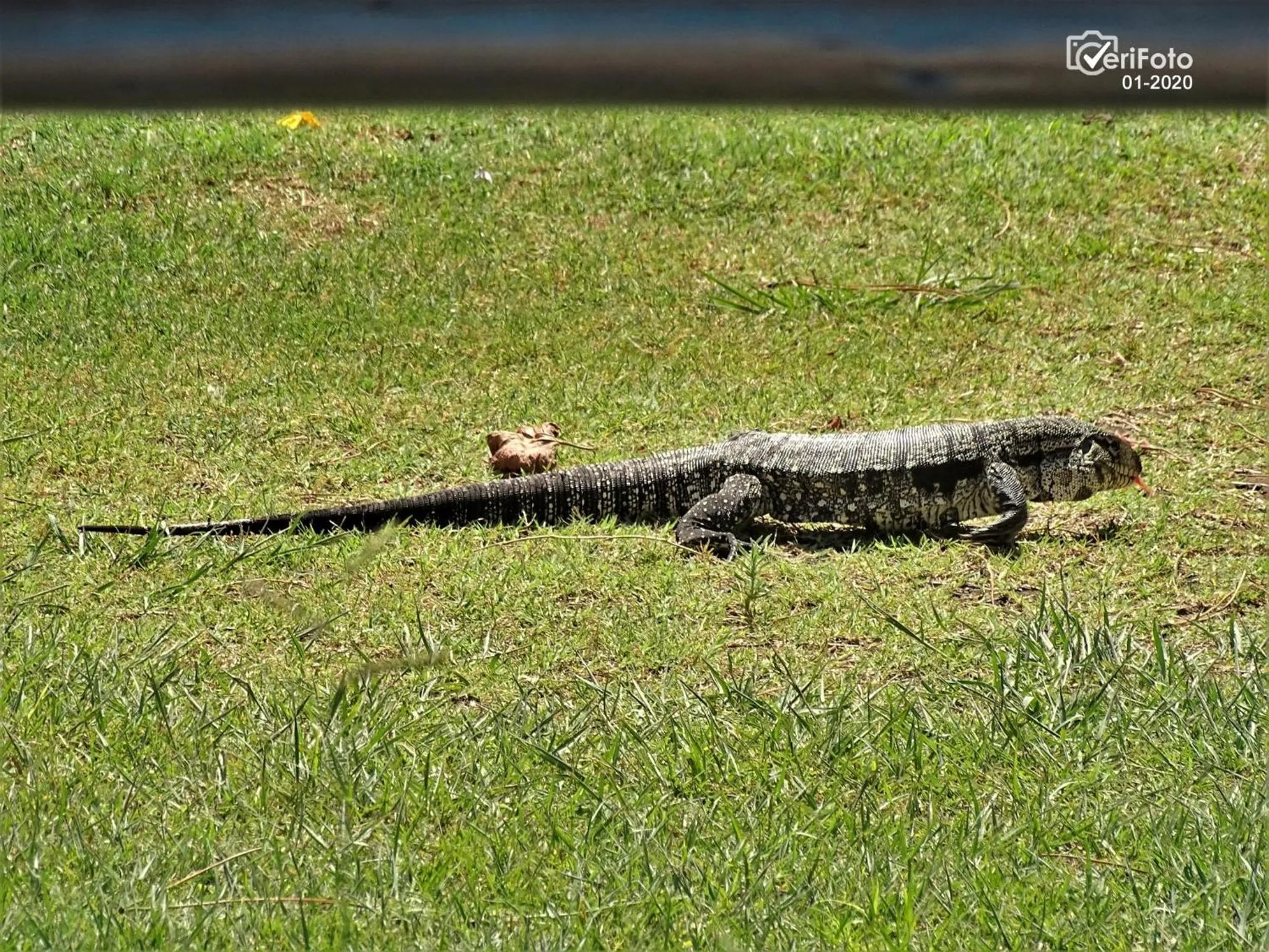 Bungalows Punta Colorada