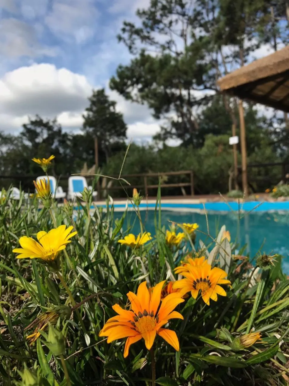 Bungalows Punta Colorada