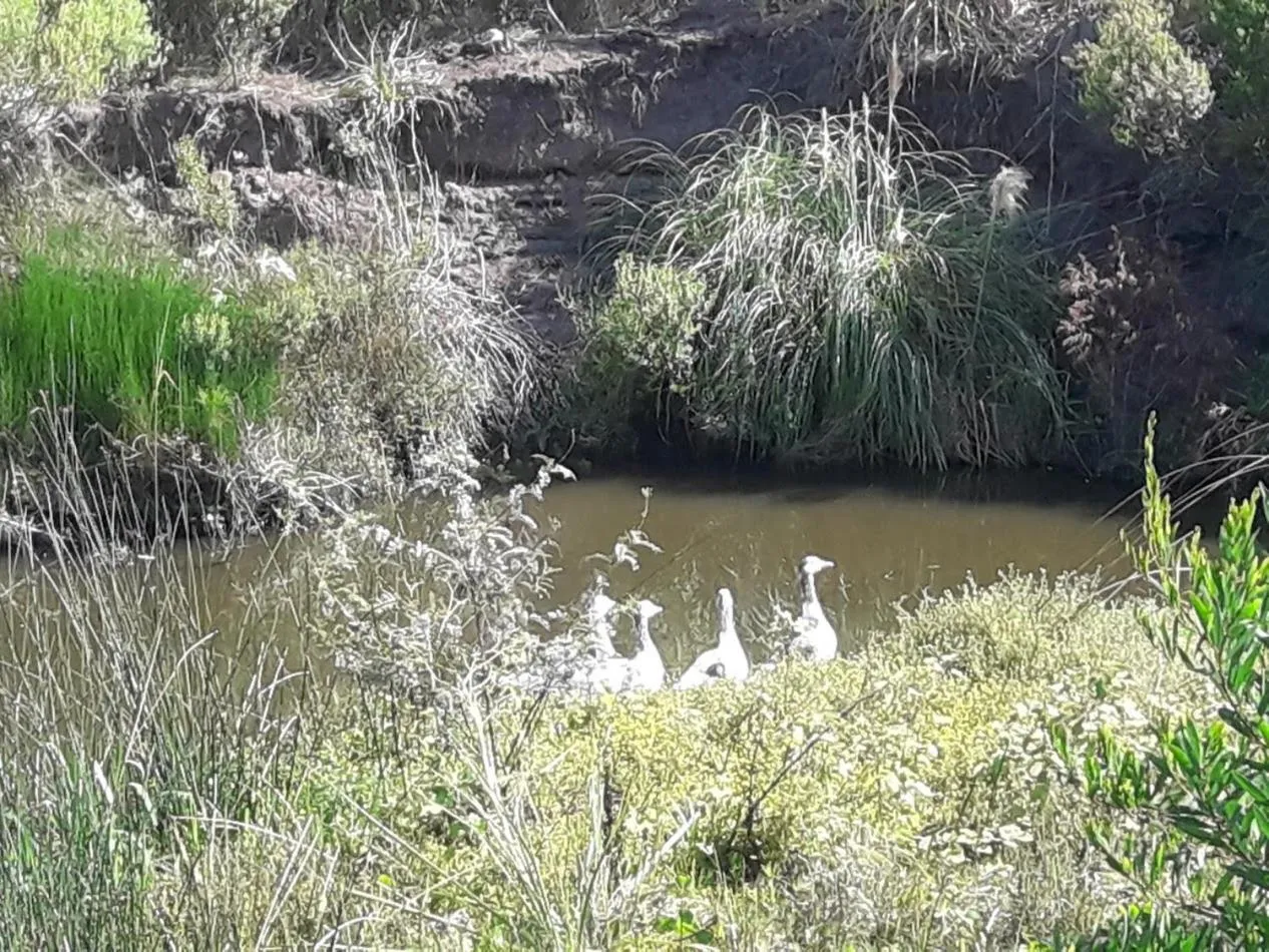 Bungalows Punta Colorada