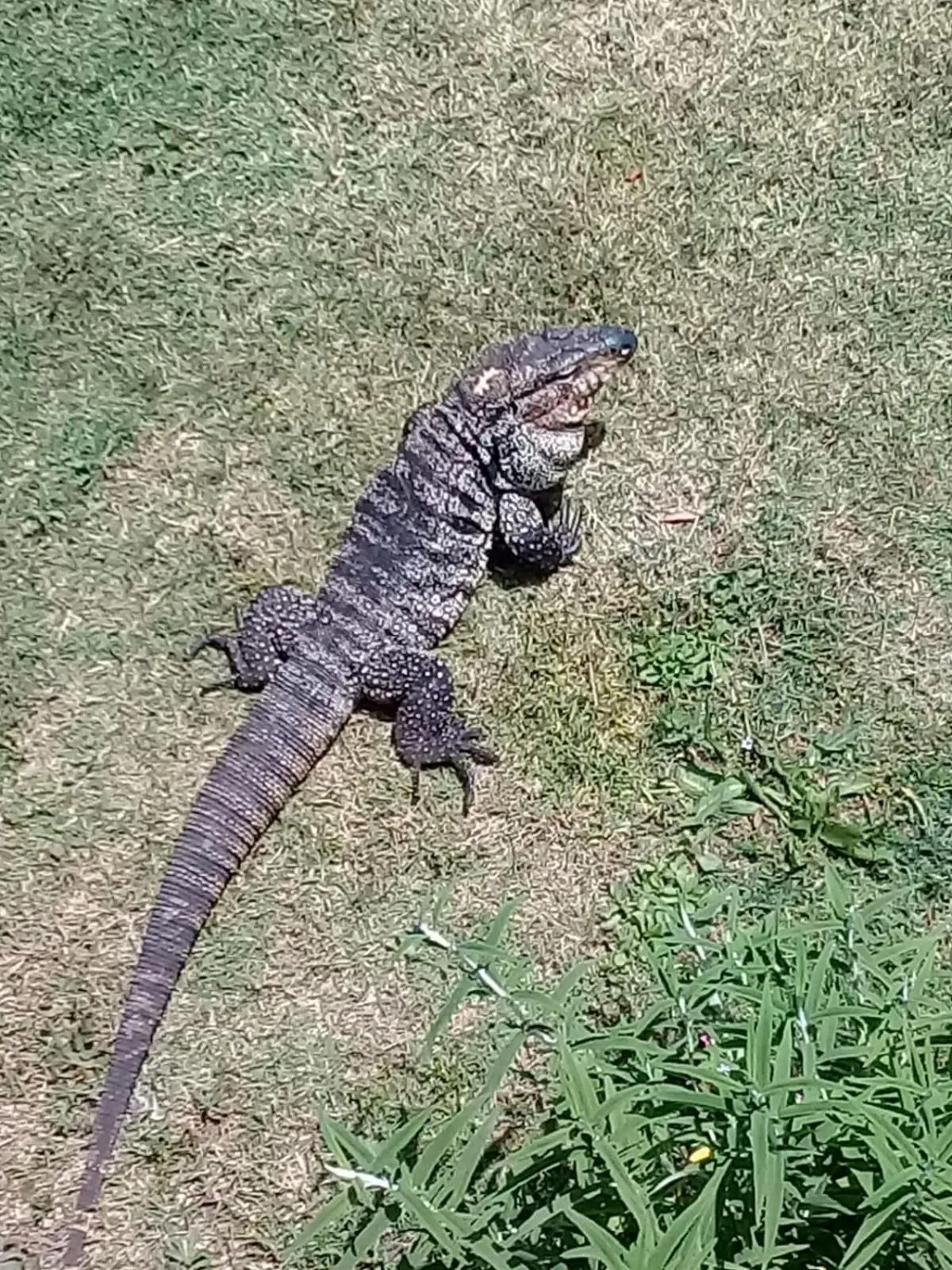 Bungalows Punta Colorada
