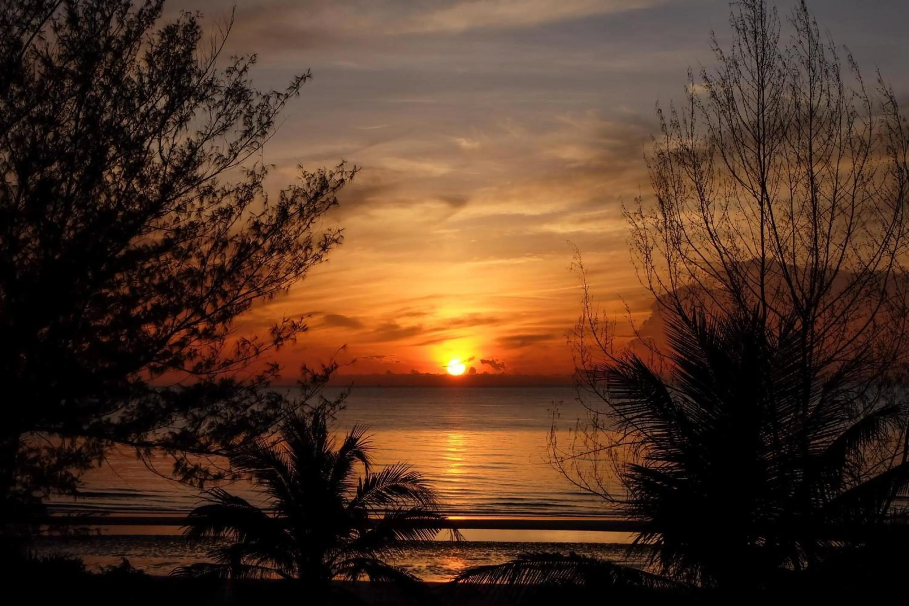 Nearby landmark in Pom Pom Residence