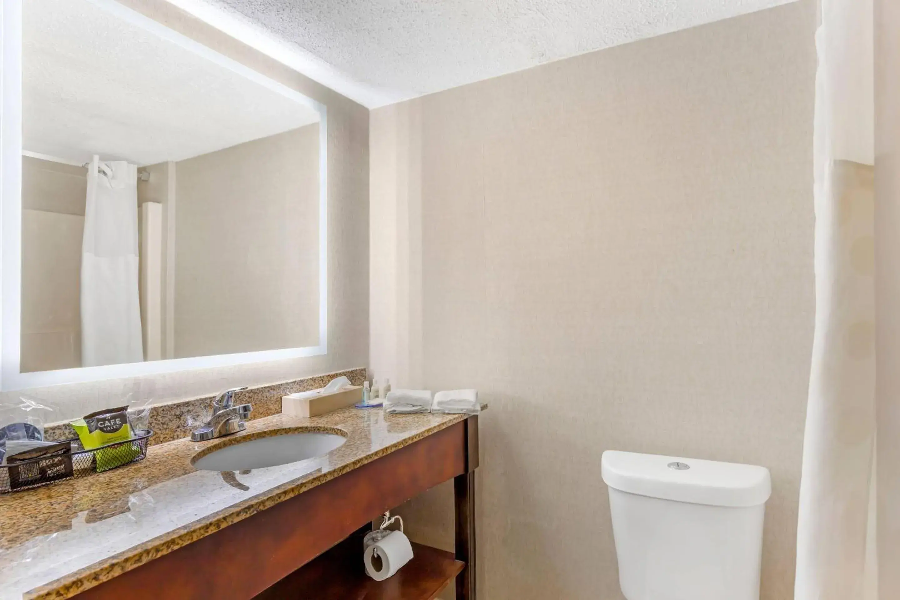 Bedroom in MainStay Suites Lansing West Bedroom in MainStay Suites Lansing West