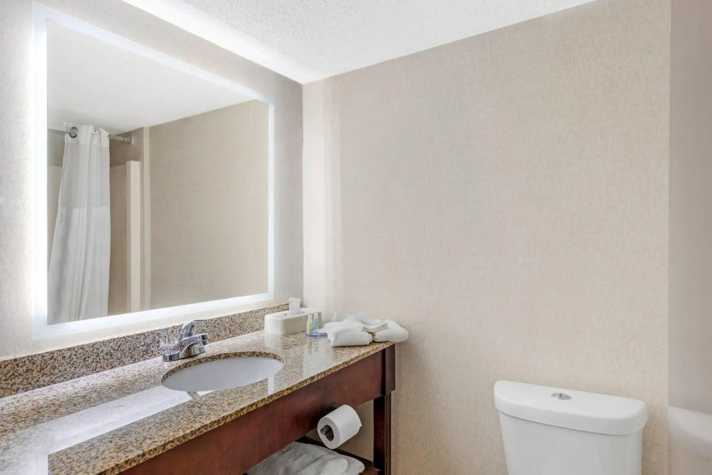 Bedroom in MainStay Suites Lansing West Bedroom in MainStay Suites Lansing West