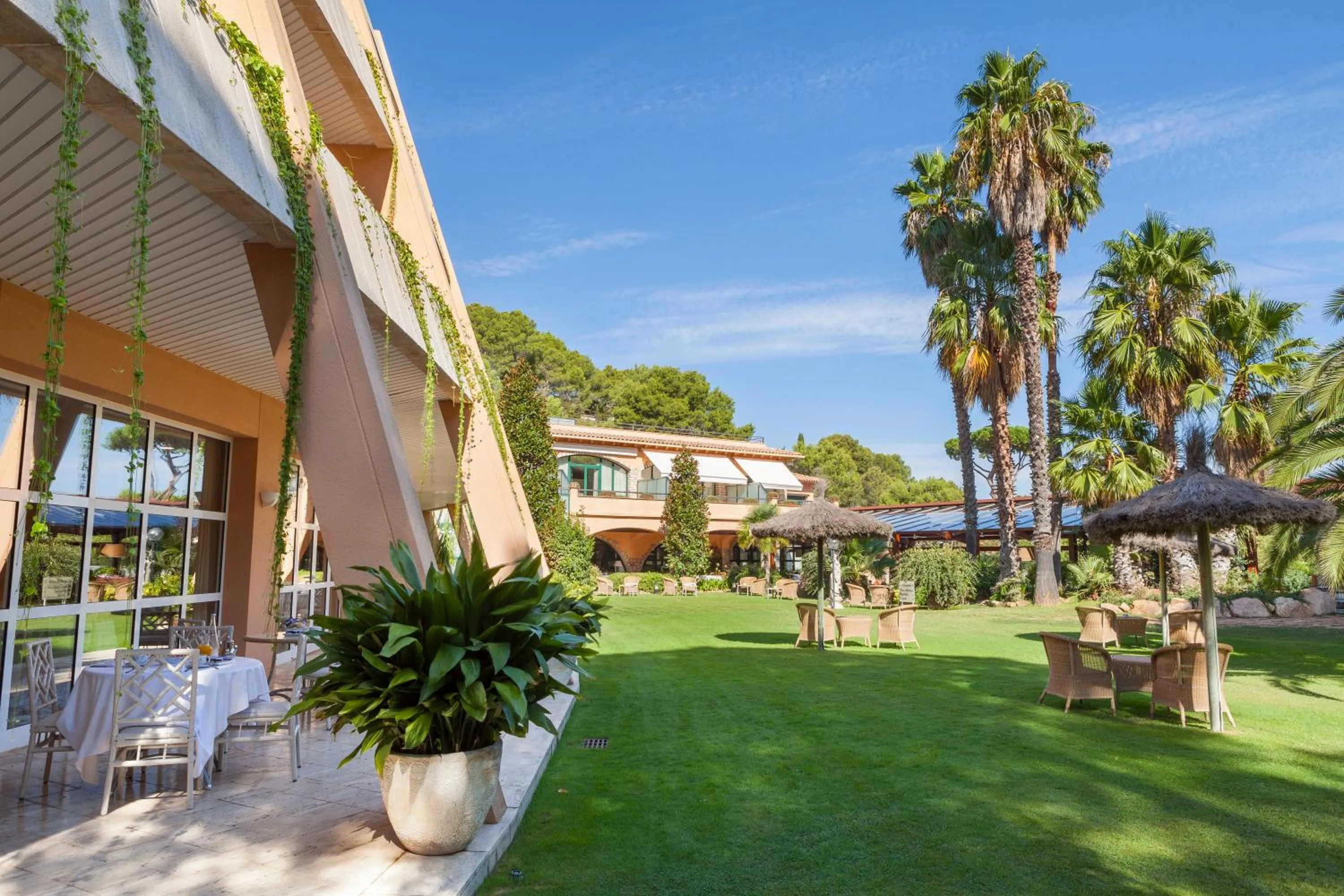 Garden in Hotel Sa Punta - Adults Only fr13