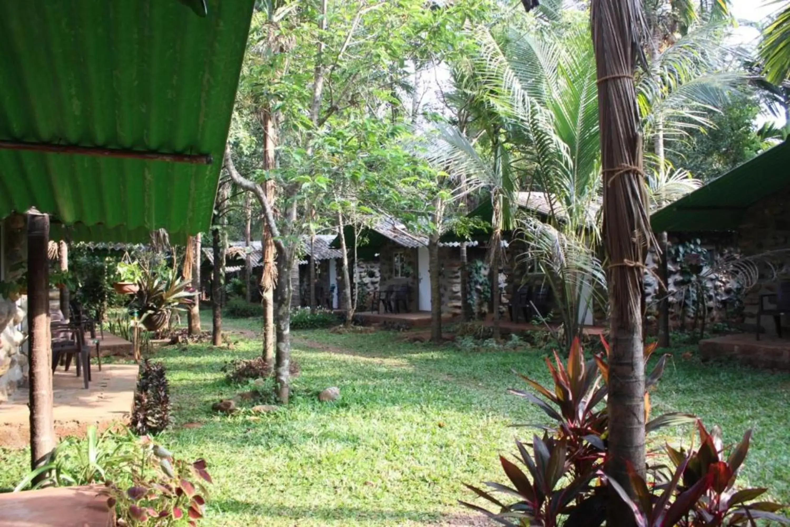 Jungle Book Resort Jungle Book Resort