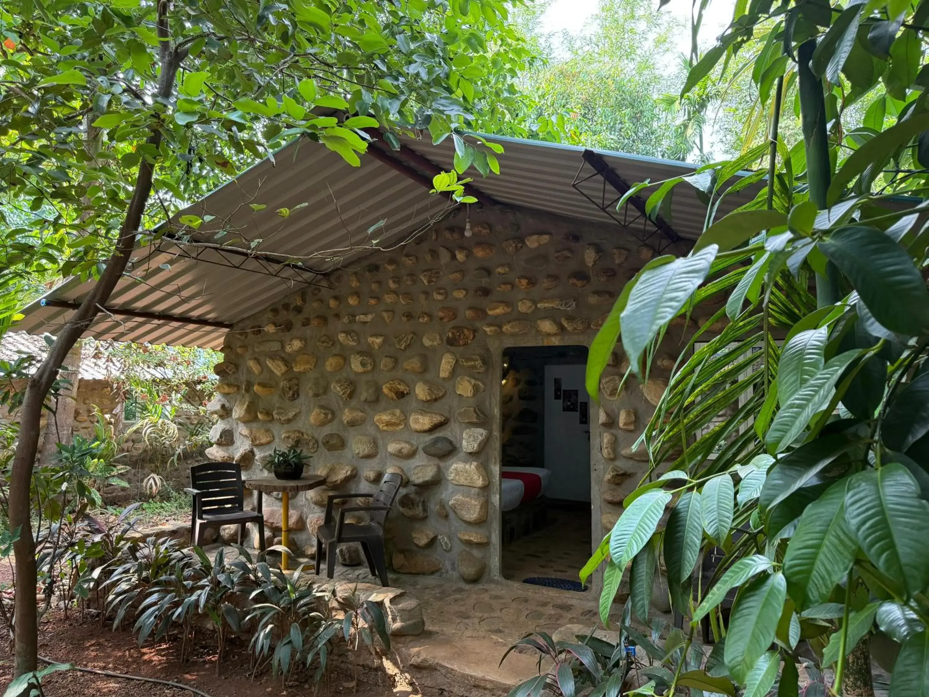 Jungle Book Resort Jungle Book Resort