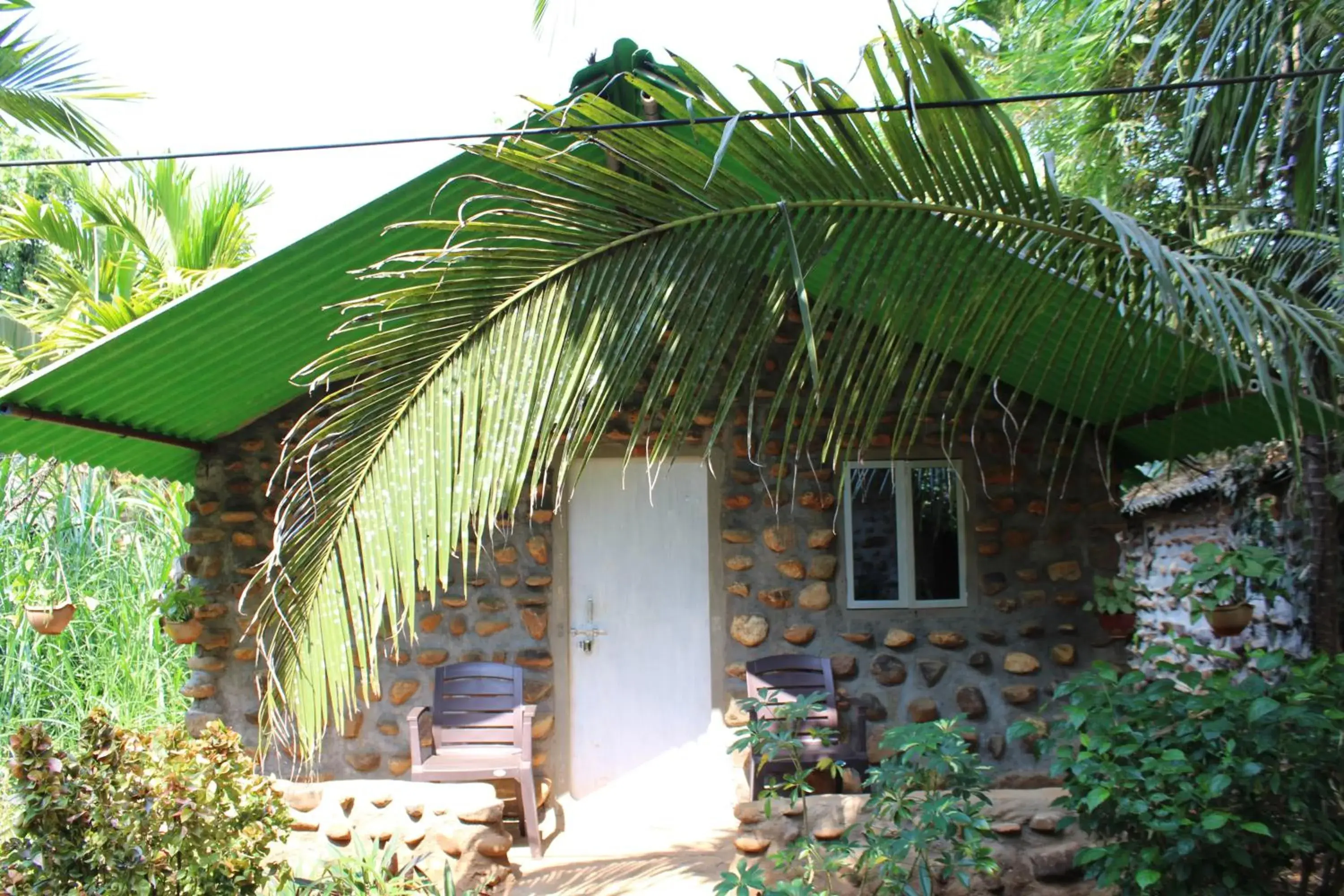 Jungle Book Resort Jungle Book Resort
