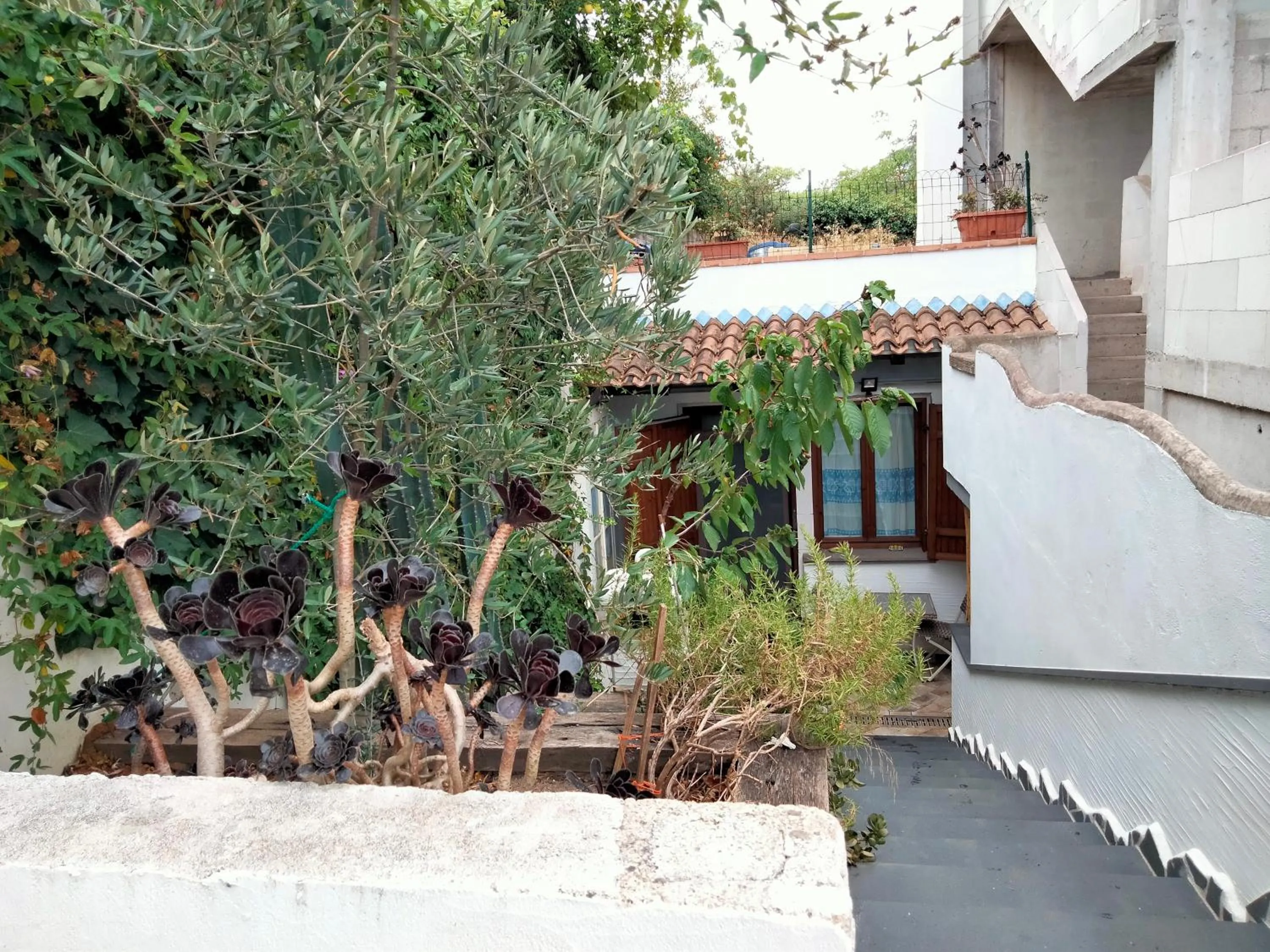 Casa Rustica