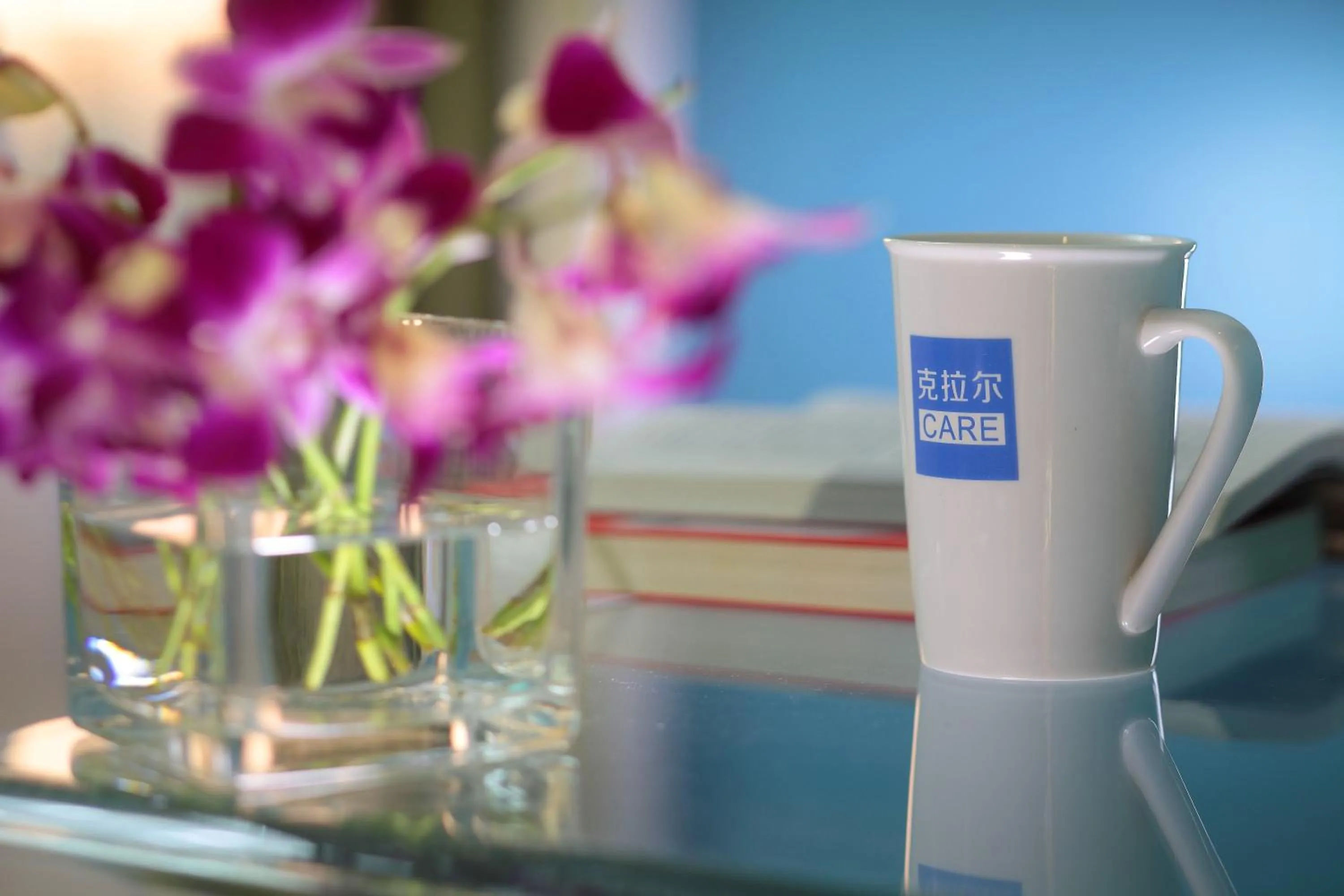 Care Hotel Coast Collection