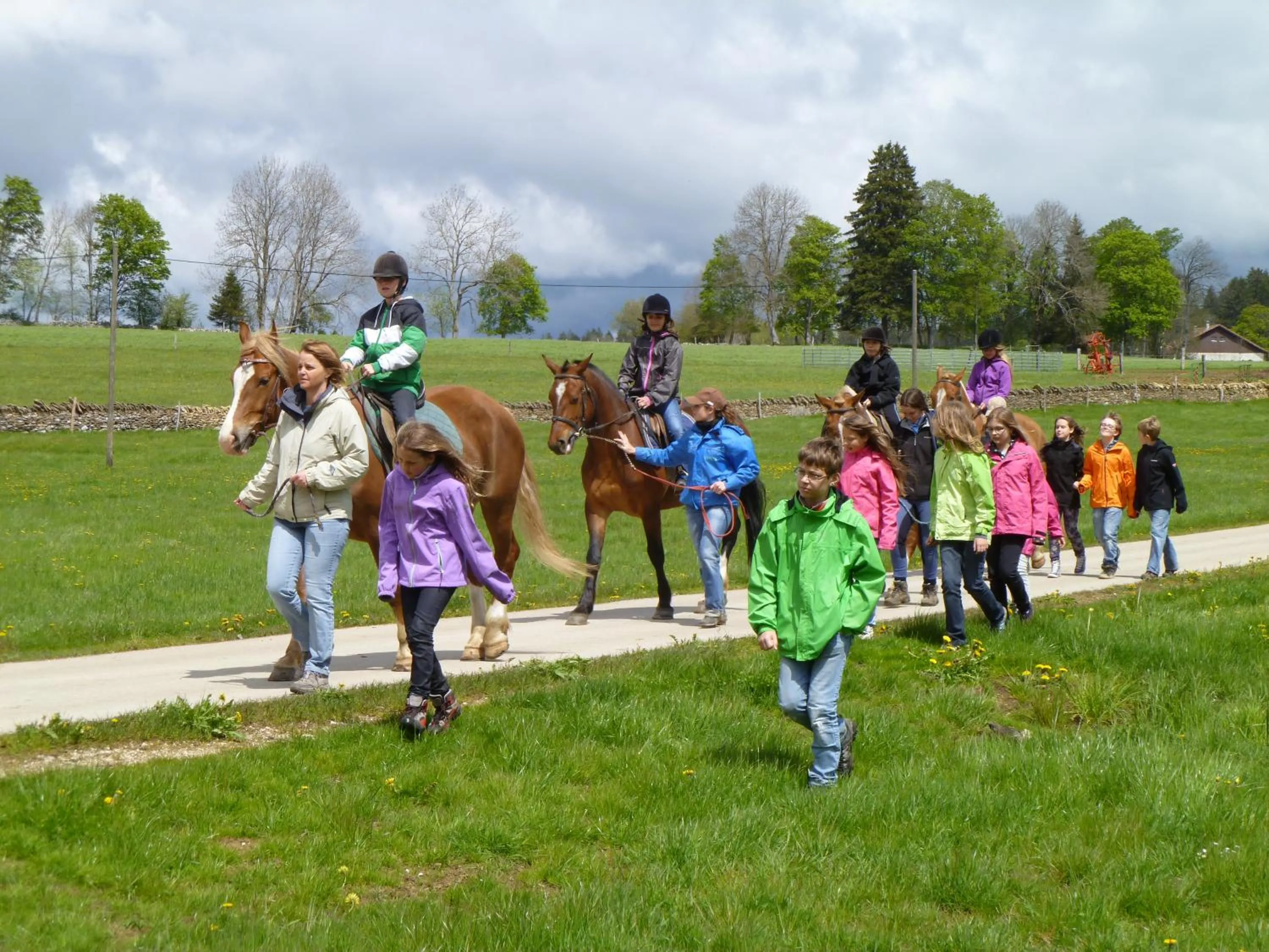 Animals in L'Union B&B - Chambres d'hôtes