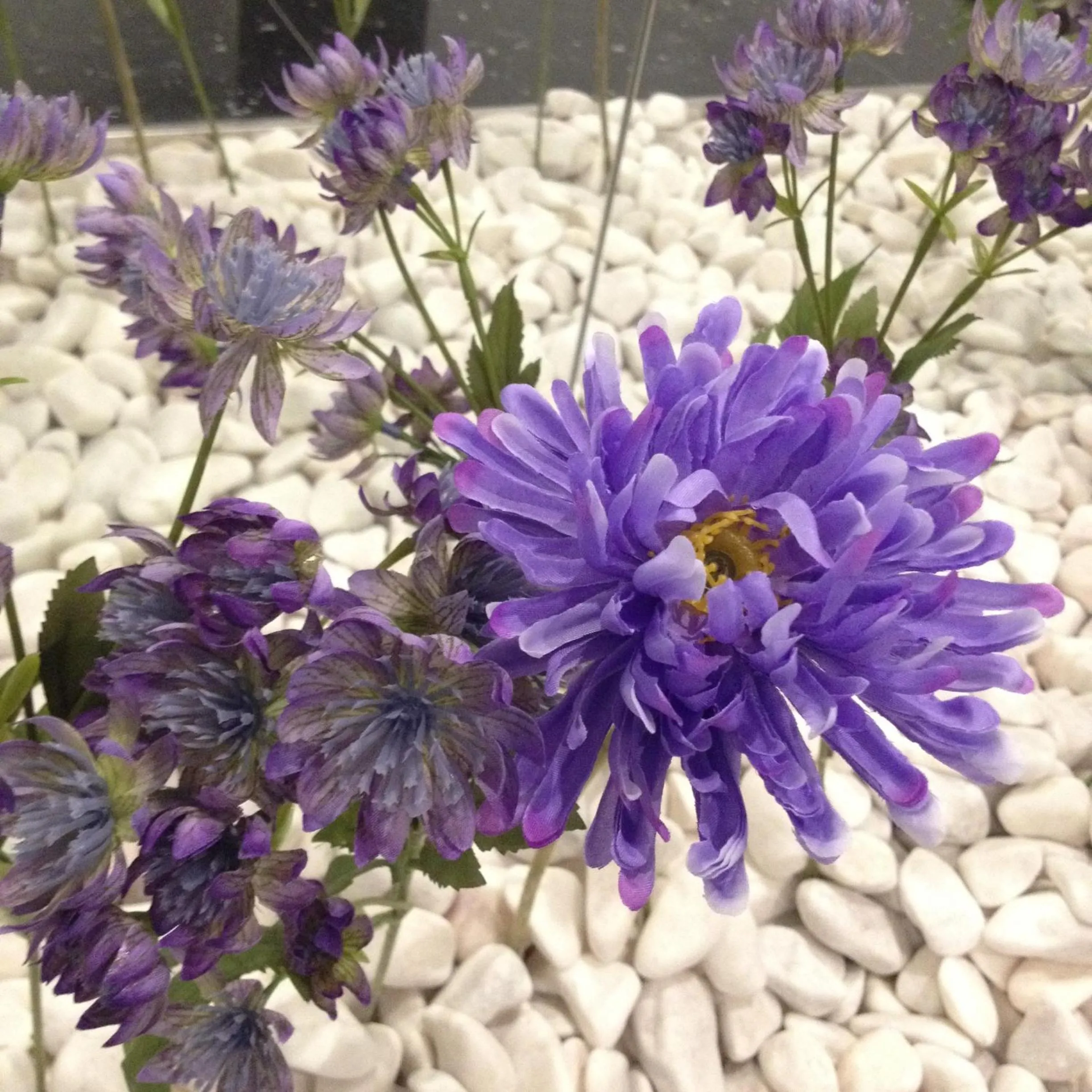 Day in Lisbon City Apartments & Suites by City Hotels