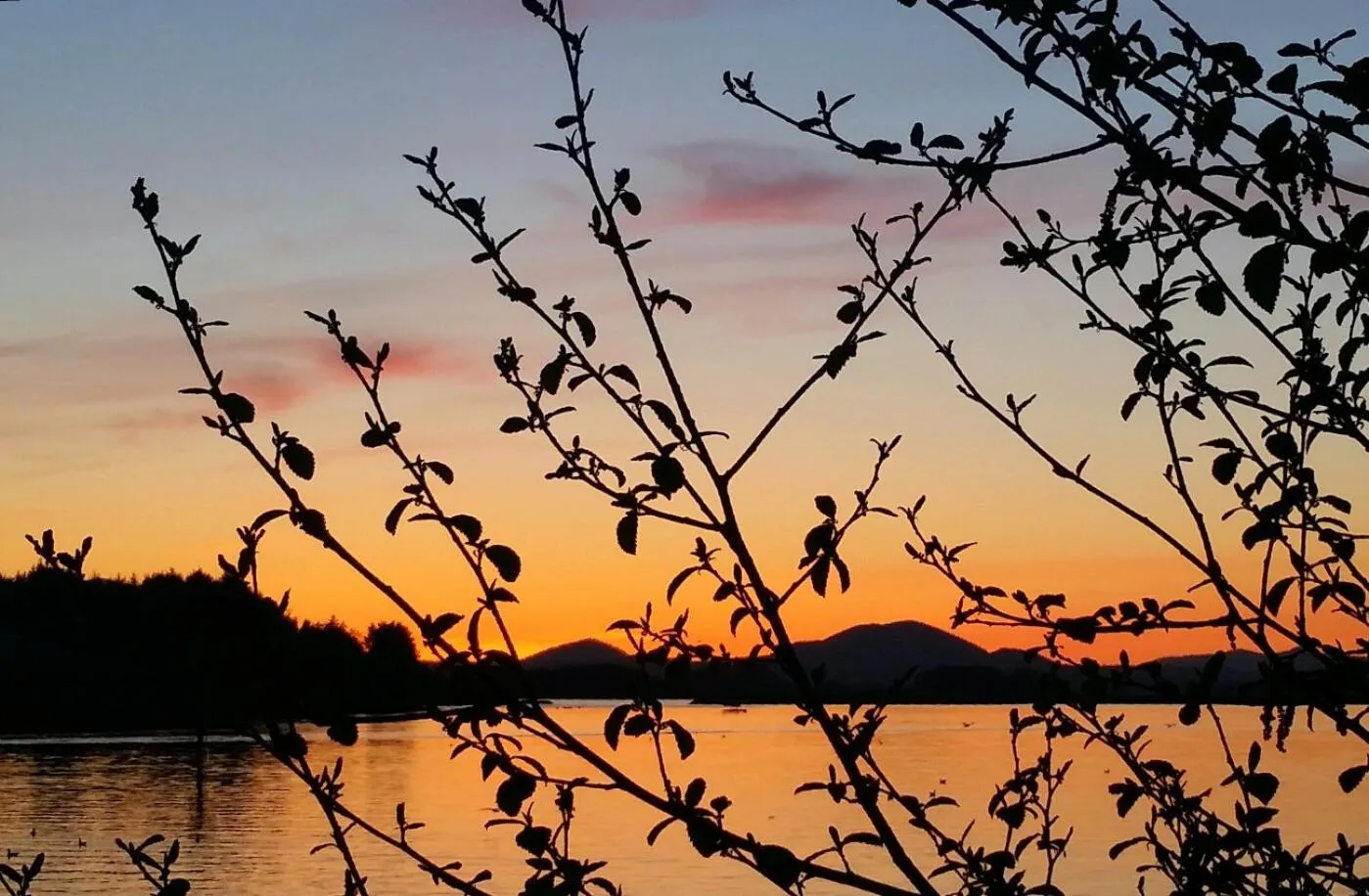 Patio in Longliner Lodge and Suites