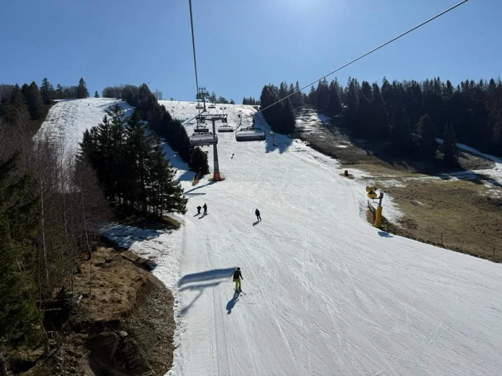 Skiing in Landhaus Pension Jagdschlösschen