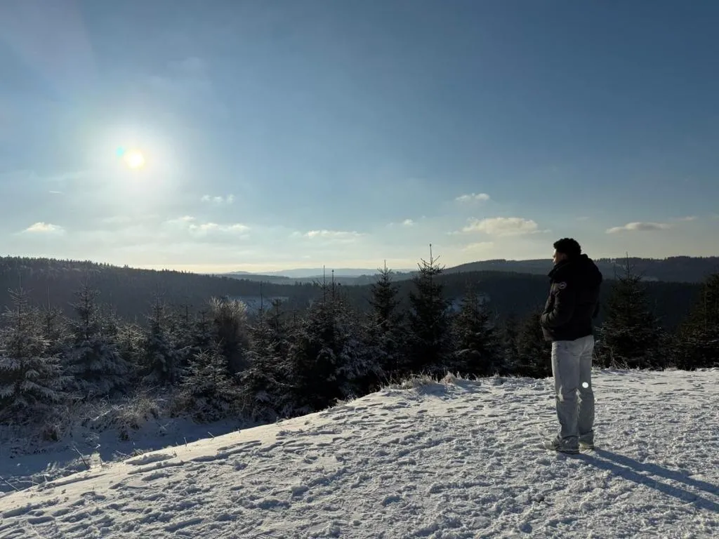 Mountain view in Landhaus Pension Jagdschlösschen