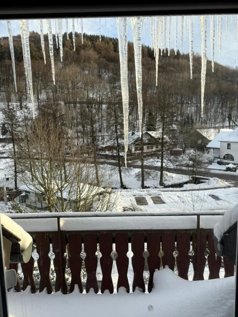 View (from property/room) in Landhaus Pension Jagdschlösschen