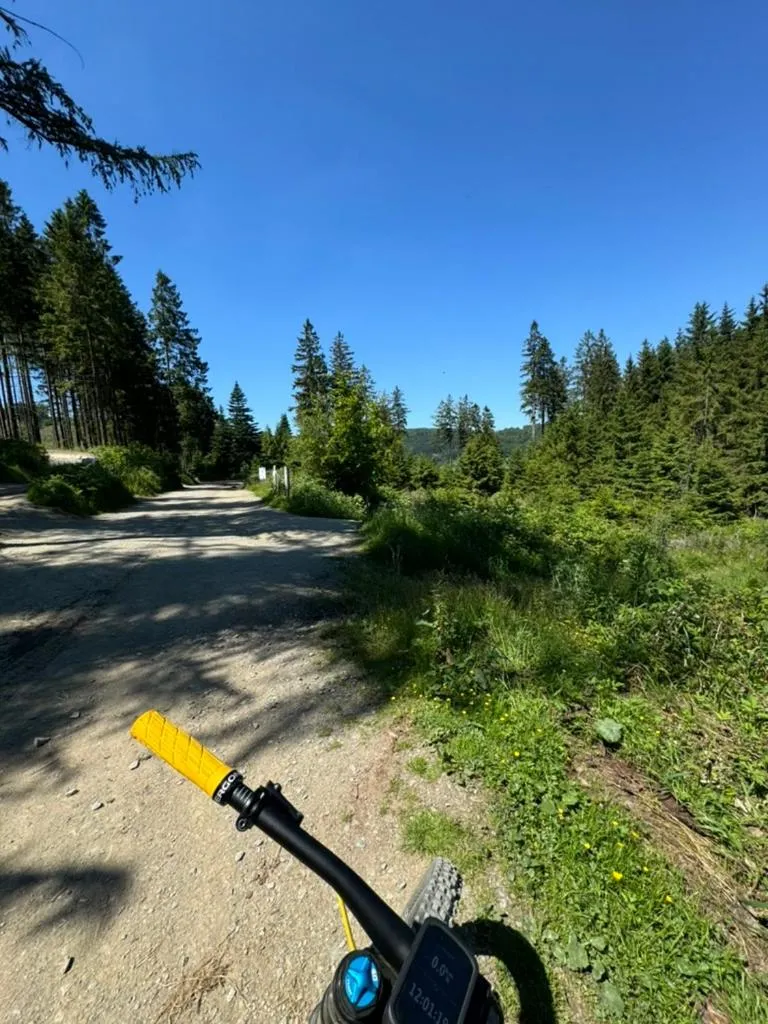Cycling in Landhaus Pension Jagdschlösschen