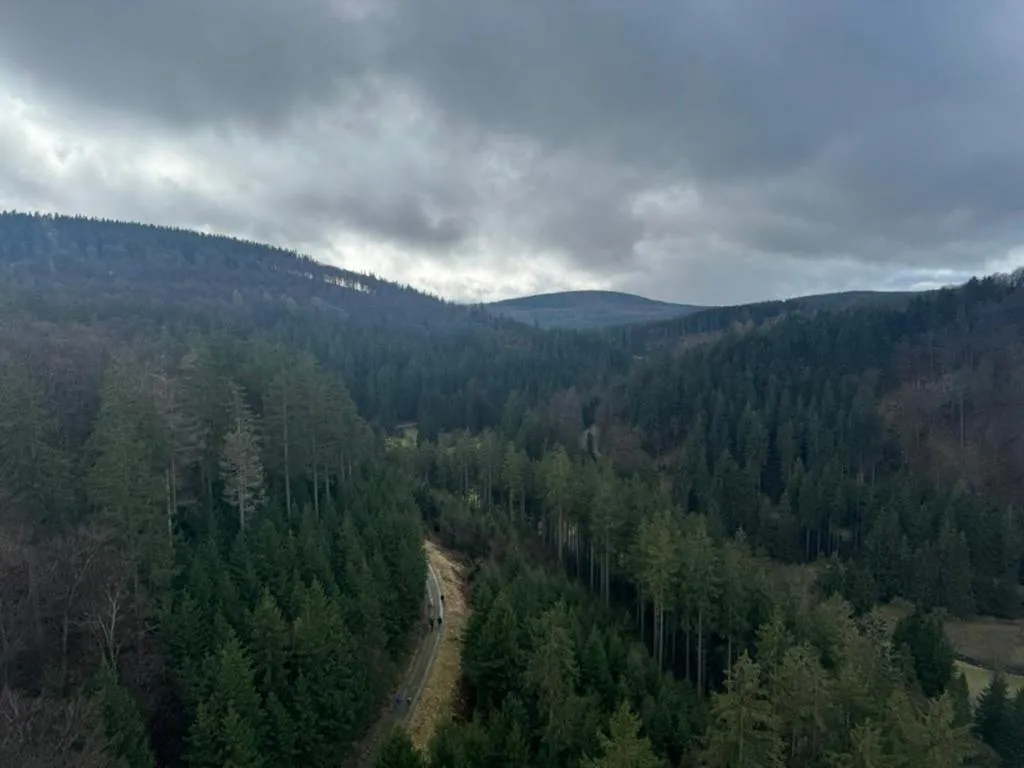 Natural landscape in Landhaus Pension Jagdschlösschen