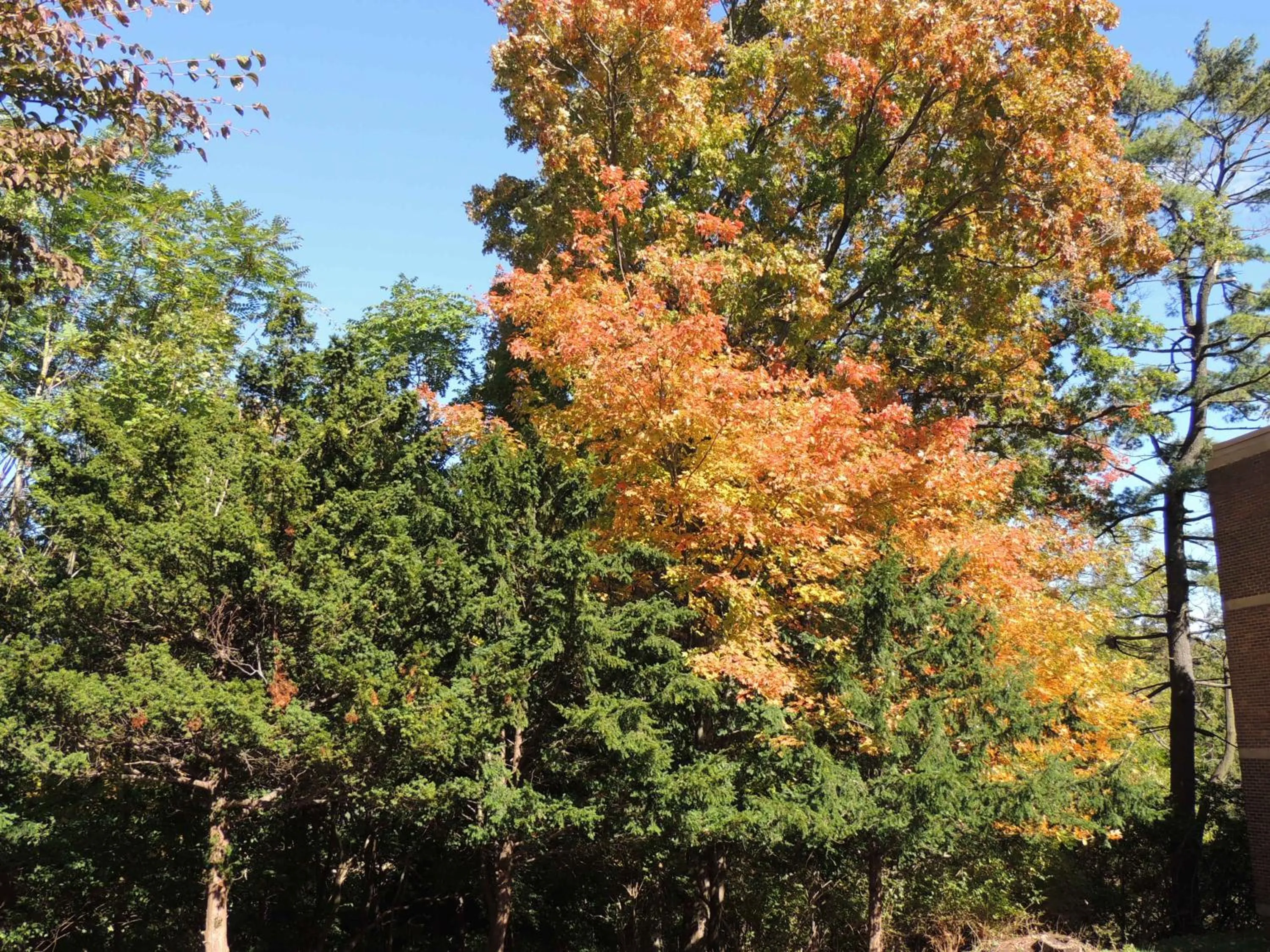 Day in Rutgers University Inn and Conference Center