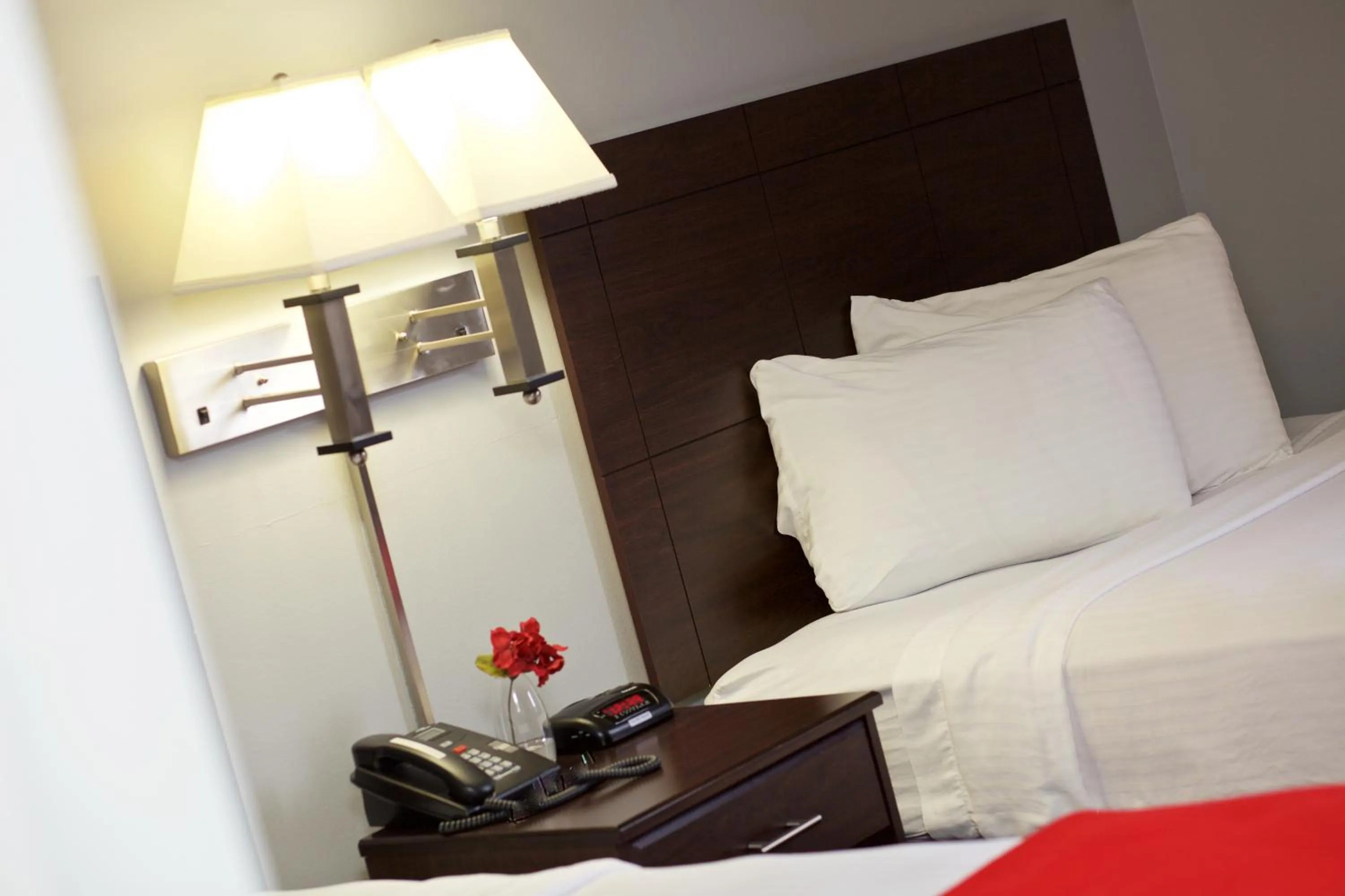 Decorative detail, Bed in Rutgers University Inn and Conference Center