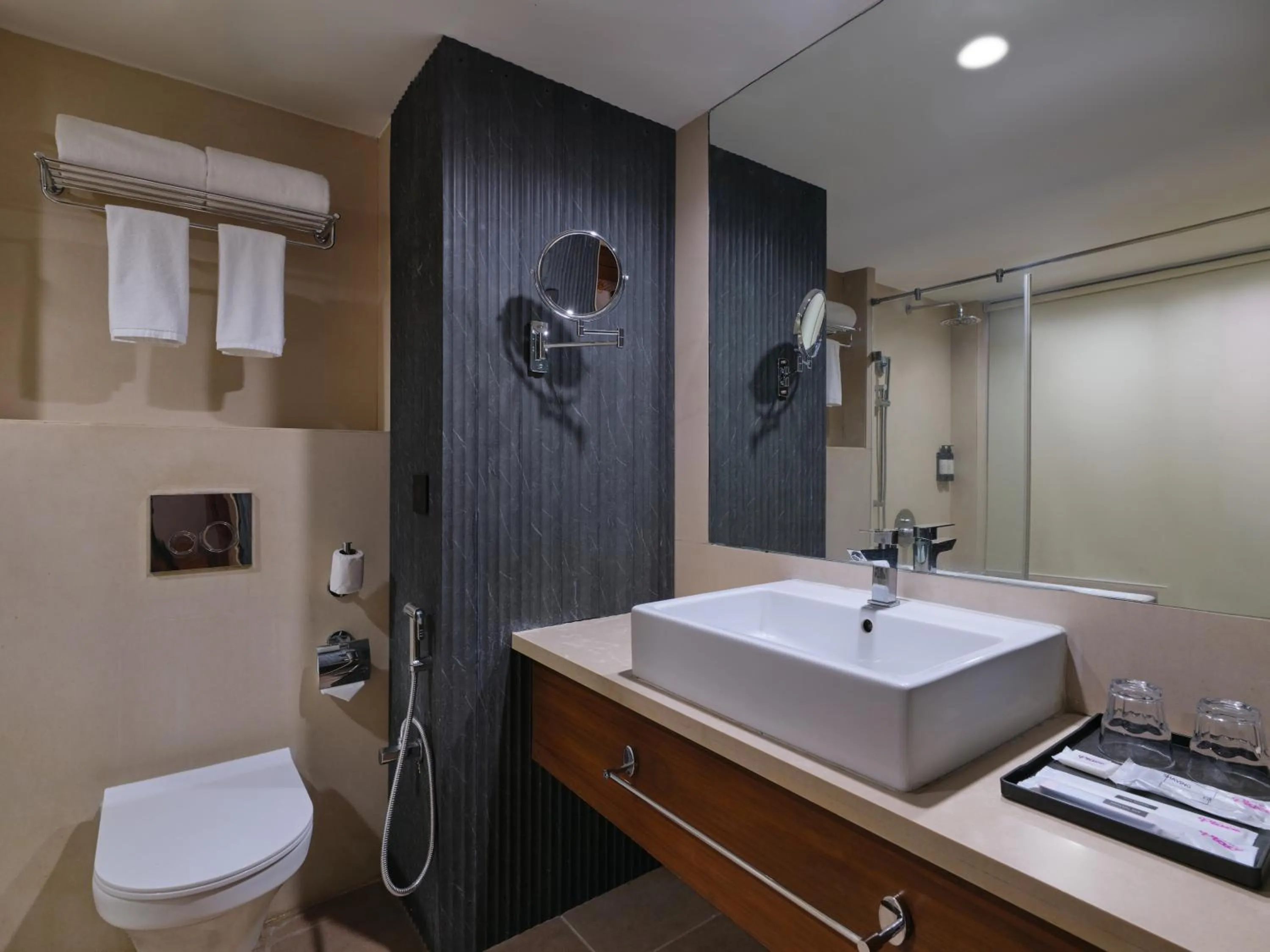Deluxe Double Room - single occupancy in Regenta Place Ahmedabad