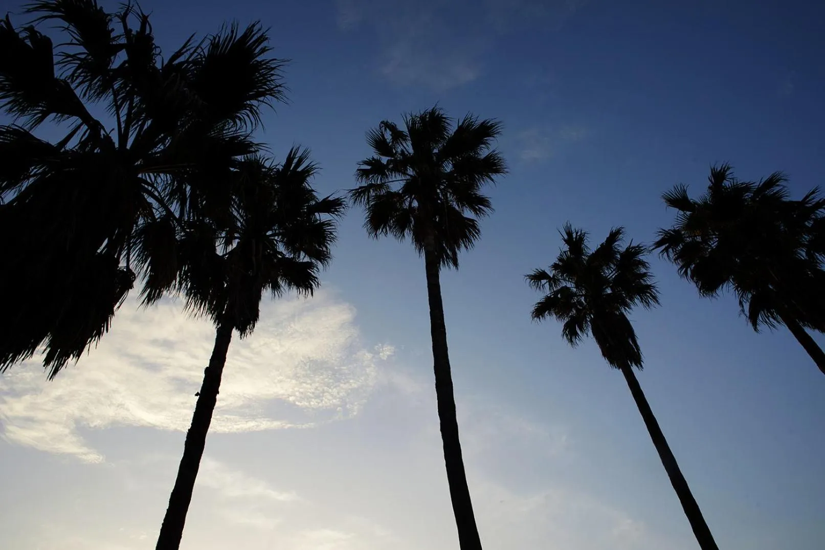 Jeju Tovice Condo New Building