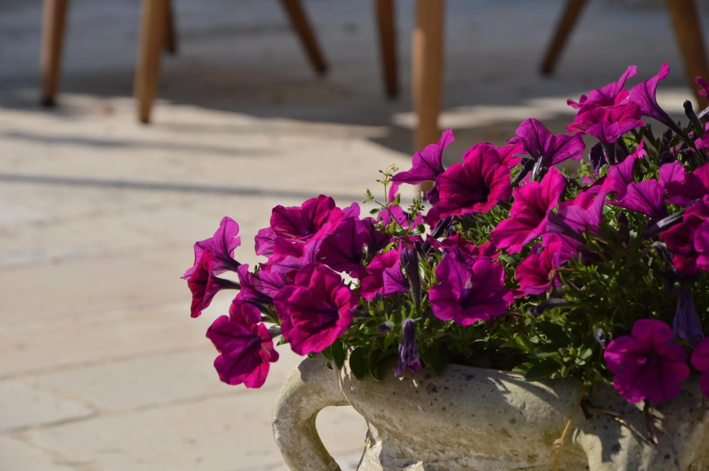 La Corticella Bed & Breakfast